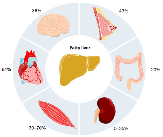 Biomedicines 09 00248 g002 550