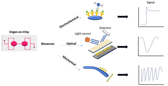 Biomedicines 09 00248 g004 550