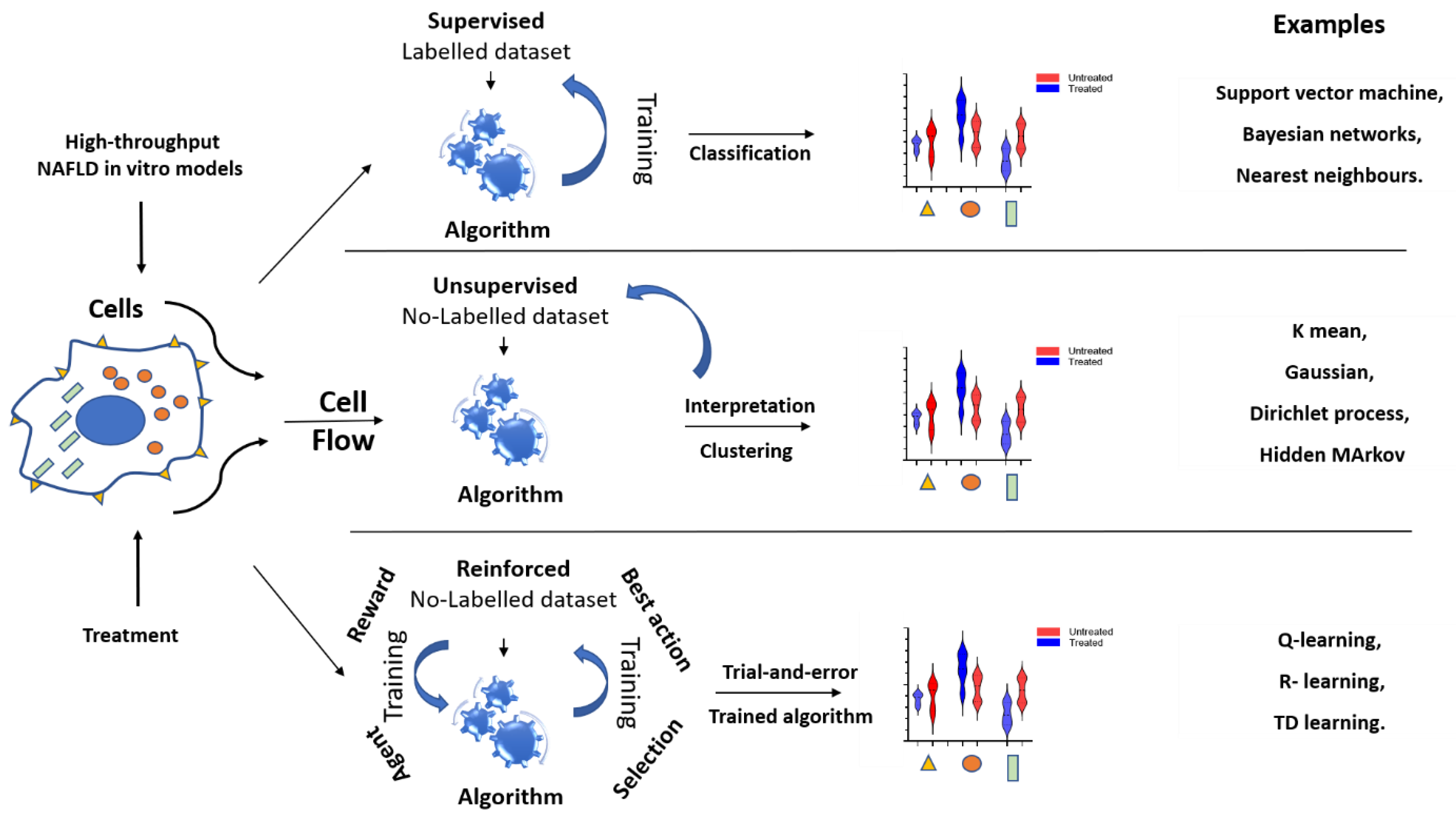 Biomedicines 09 00248 g006