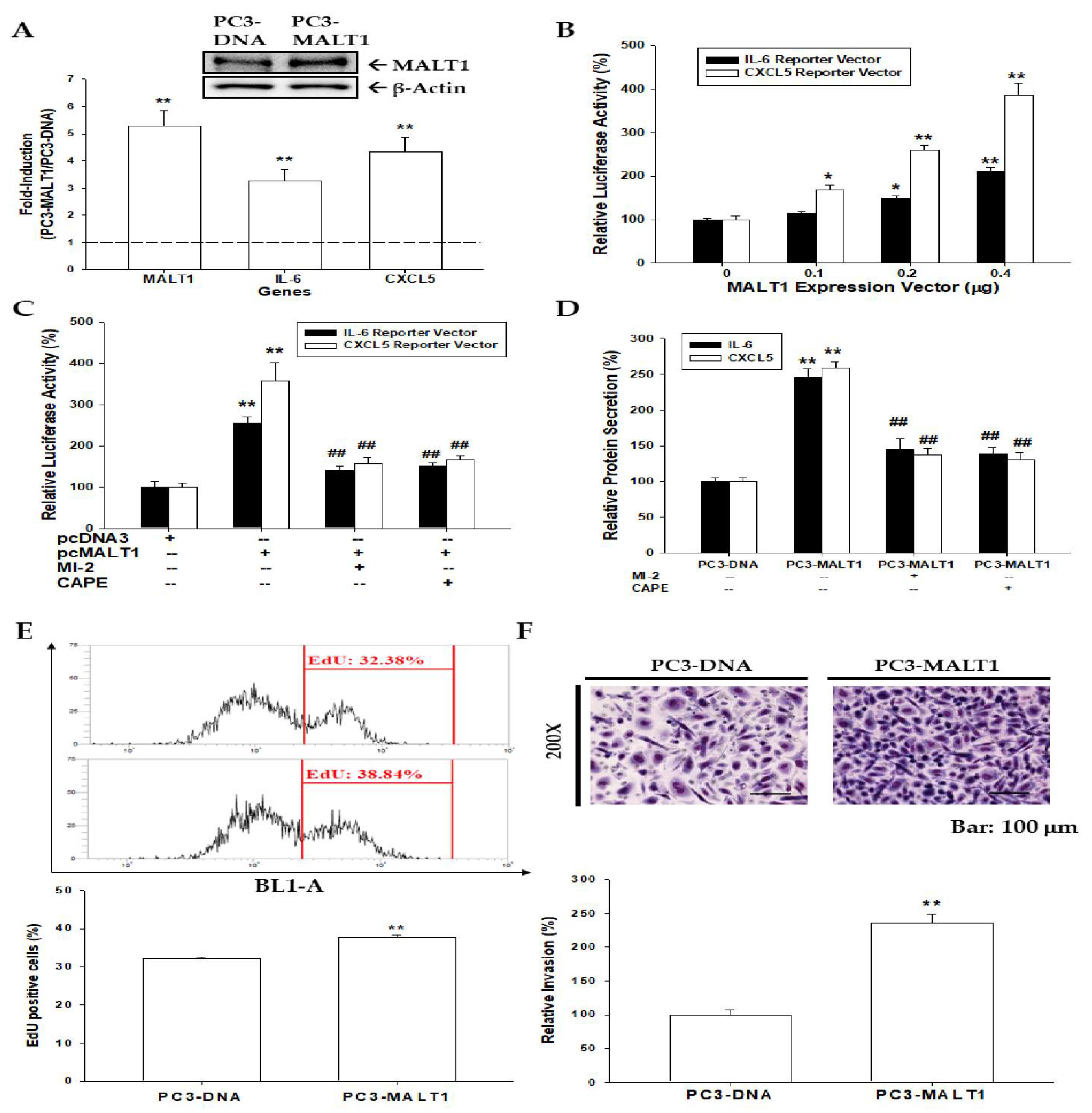Biomedicines 09 00250 g002