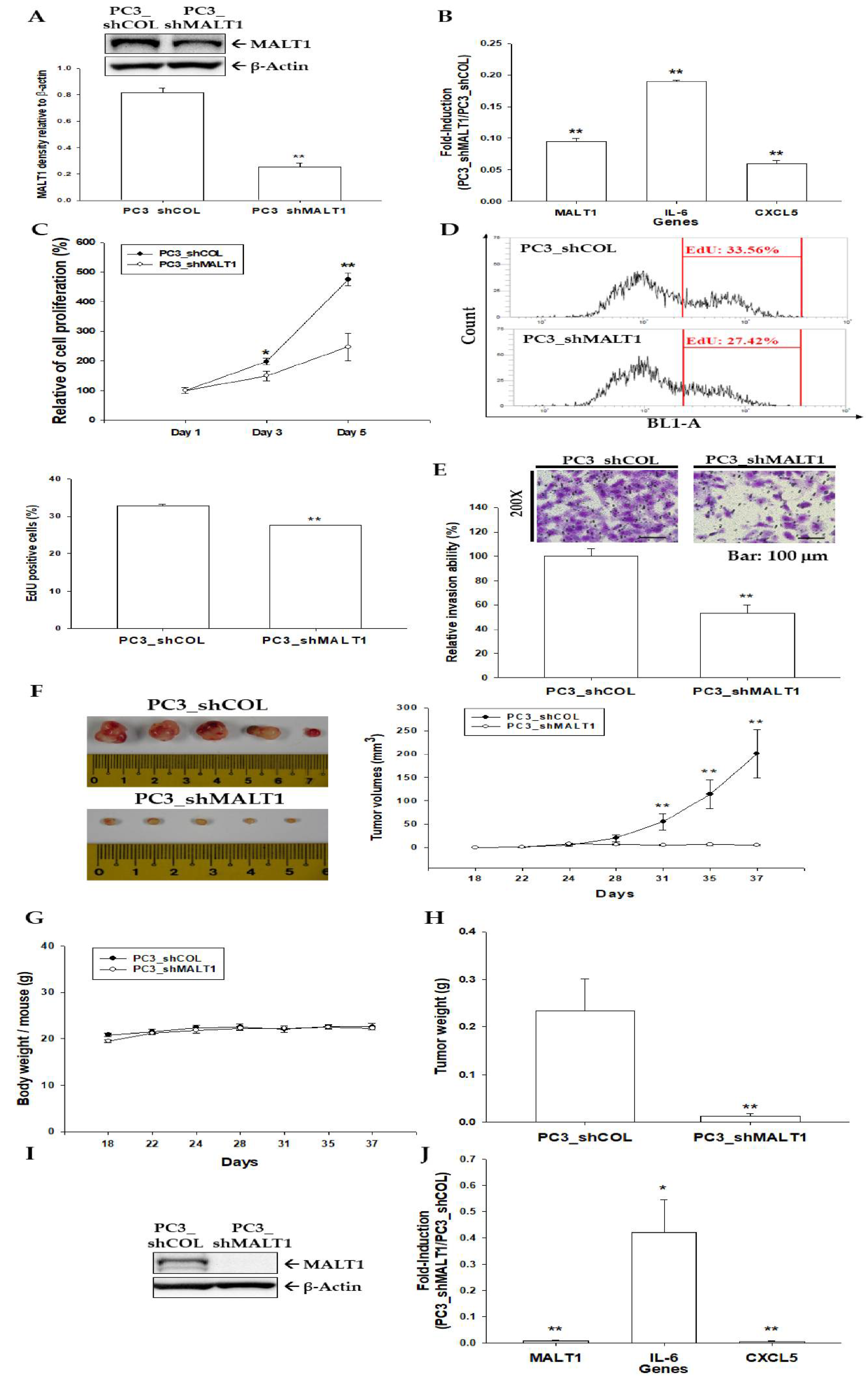 Biomedicines 09 00250 g004