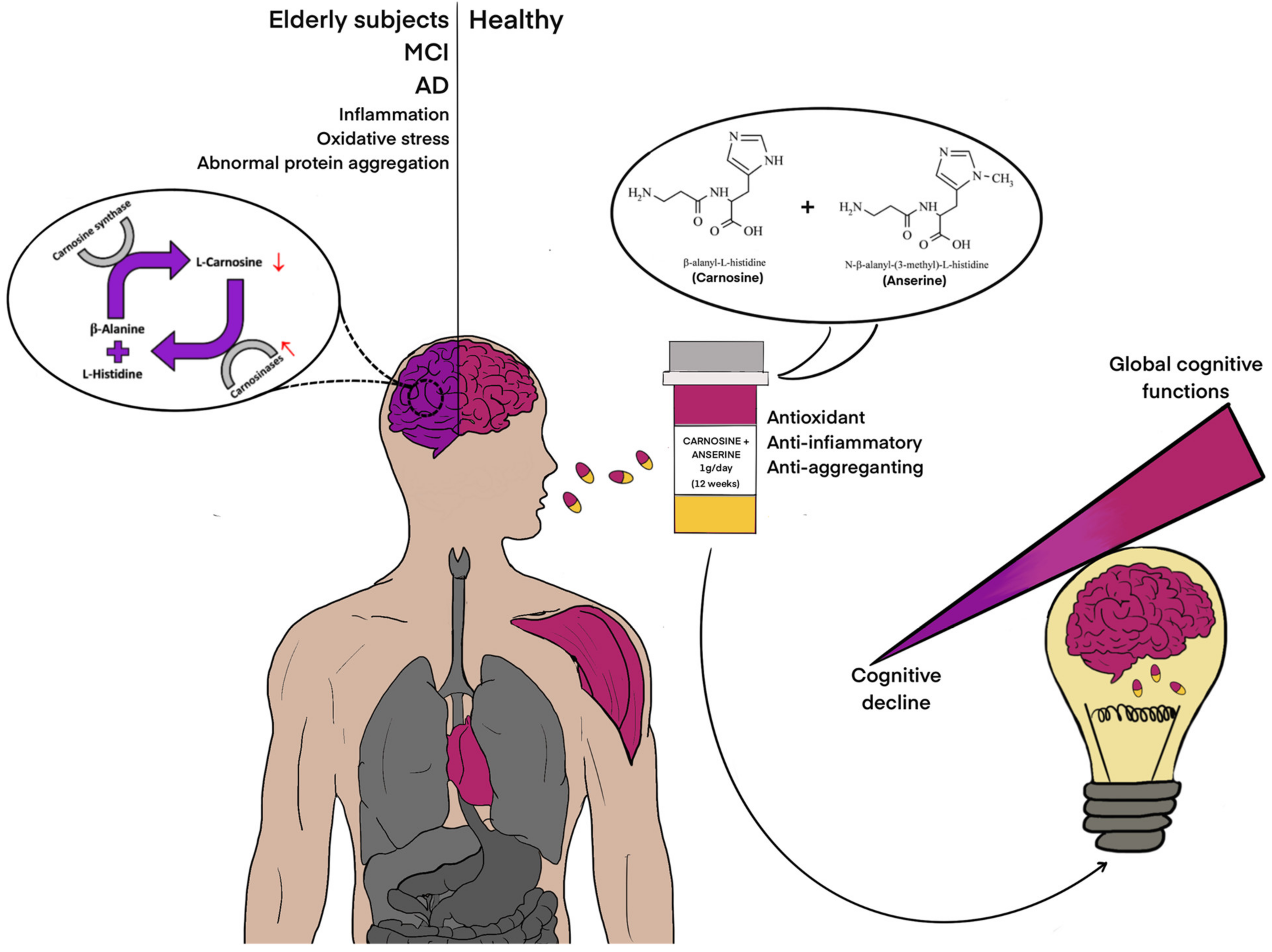 Biomedicines 09 00253 g006 Biomedicines 09 00253 g006