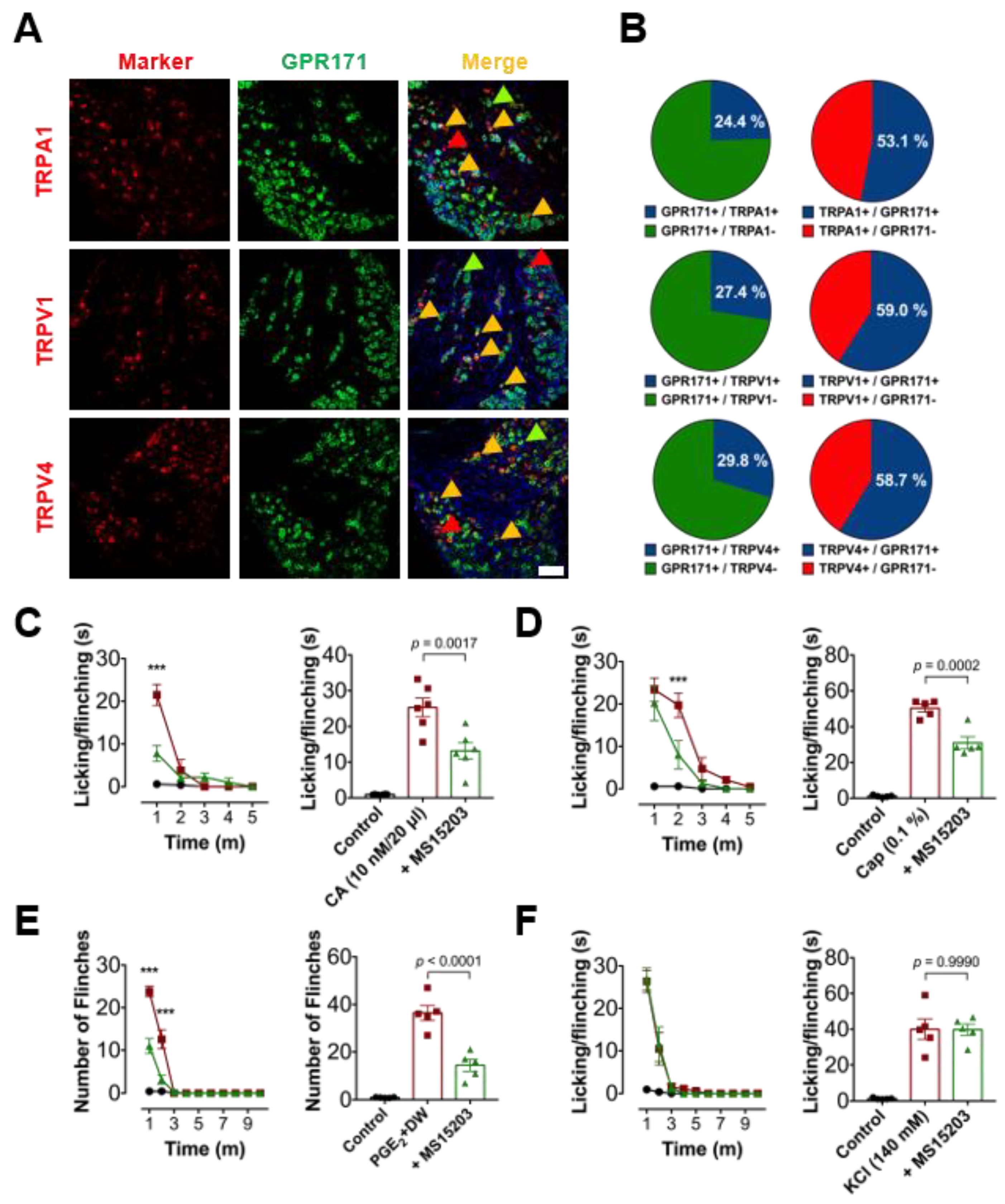Biomedicines 09 00256 g002 Biomedicines 09 00256 g002