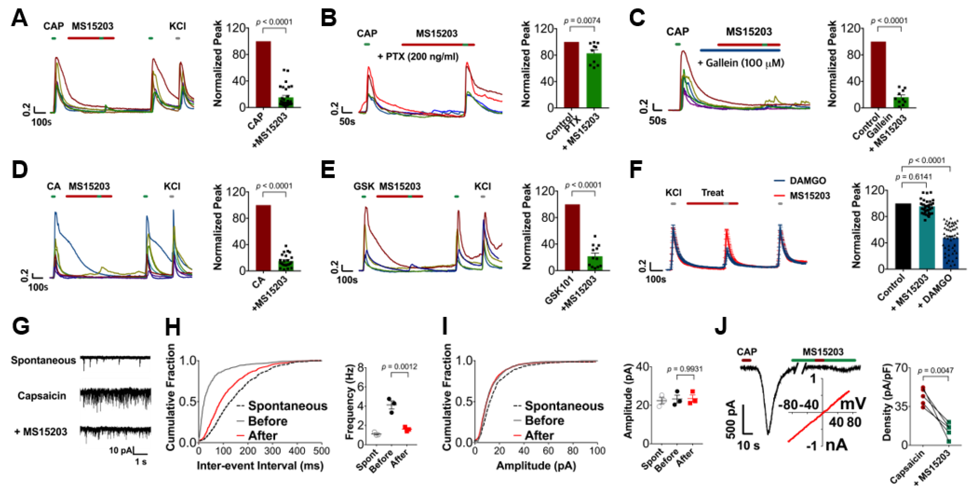 Biomedicines 09 00256 g003