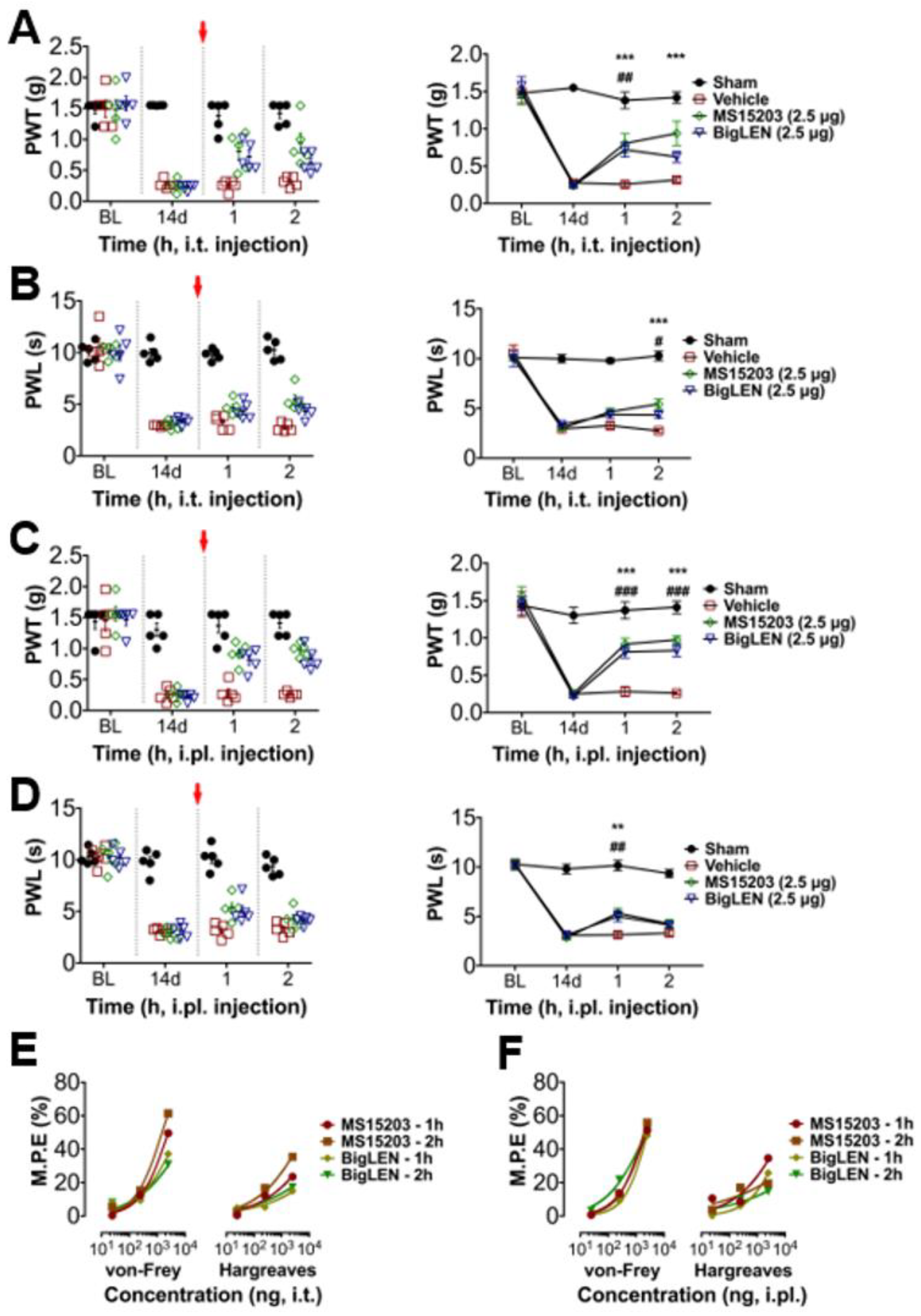Biomedicines 09 00256 g005