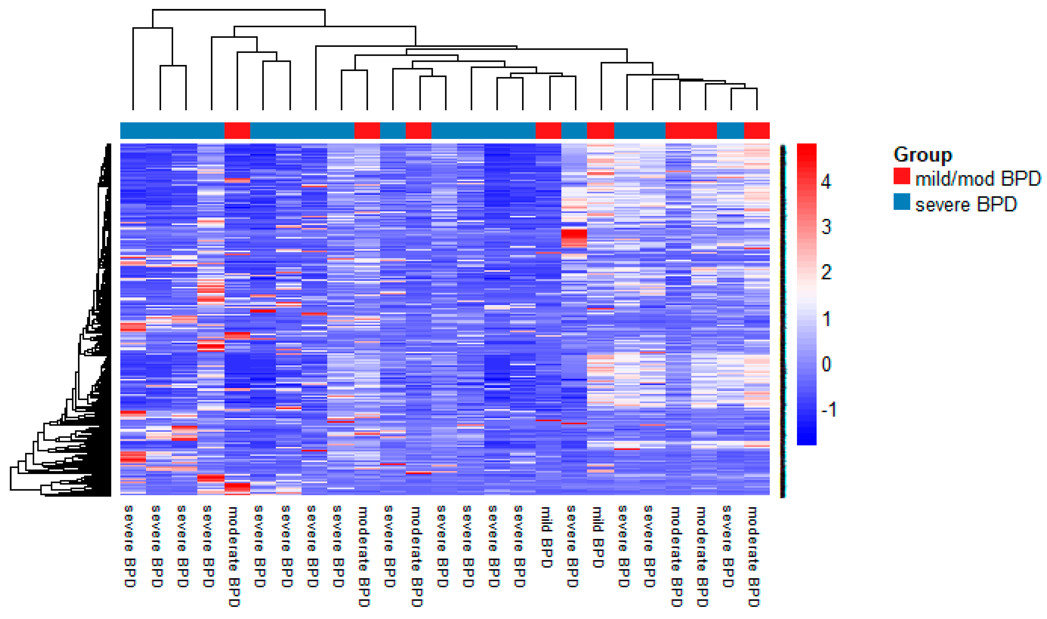 Biomedicines 09 00257 g002