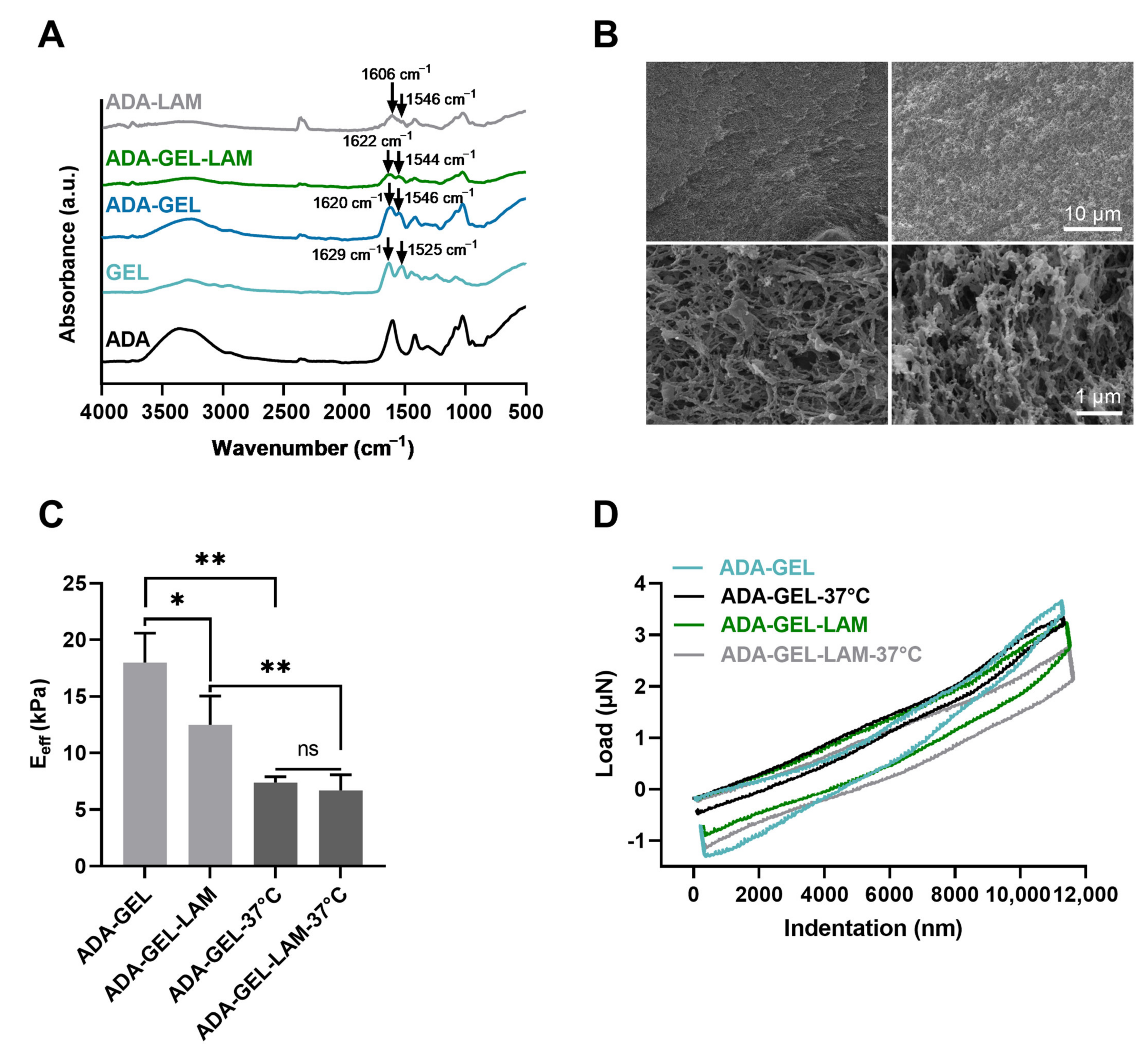 Biomedicines 09 00261 g002 Biomedicines 09 00261 g002