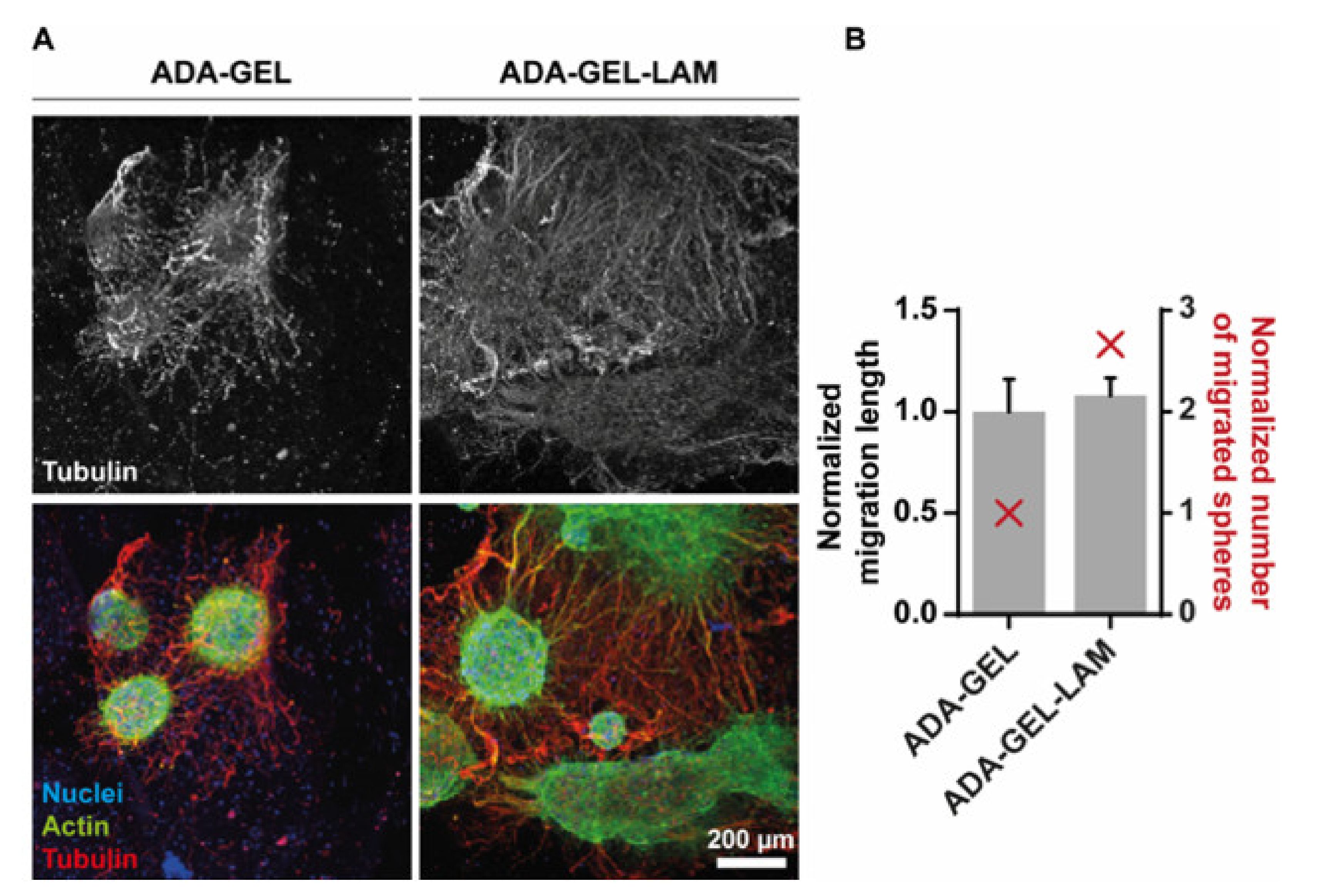 Biomedicines 09 00261 g005 Biomedicines 09 00261 g005
