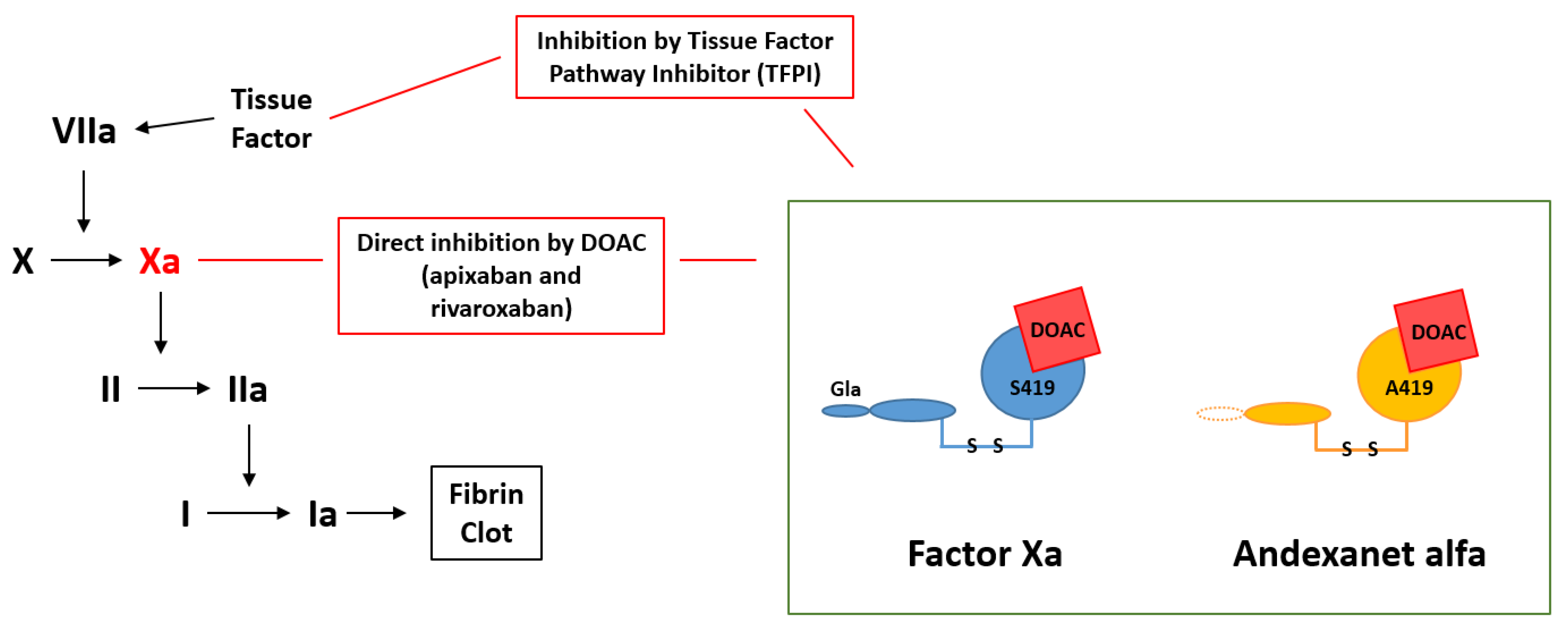 Biomedicines 09 00262 g002