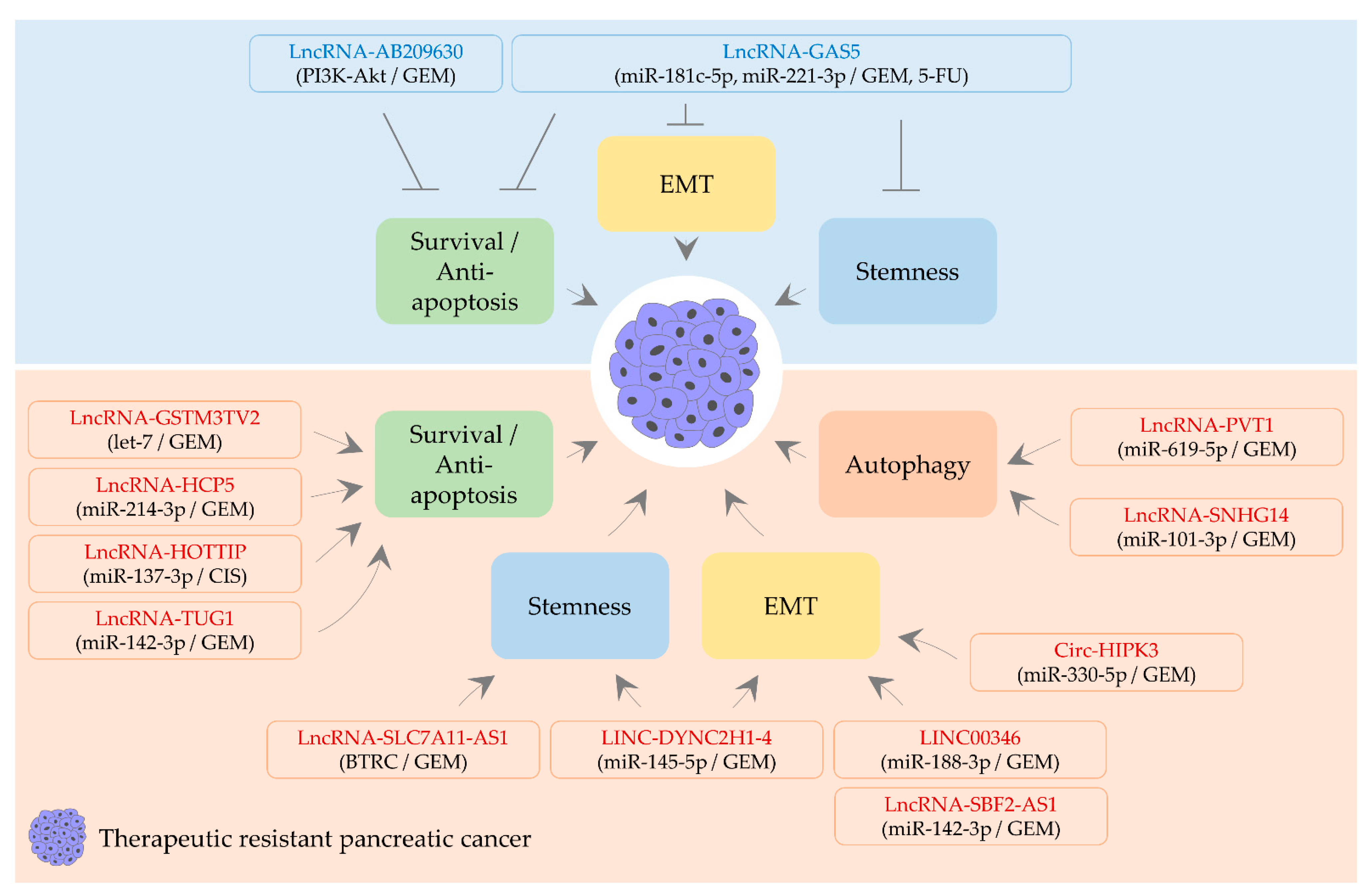Biomedicines 09 00263 g003 Biomedicines 09 00263 g003