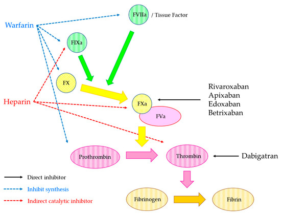 Biomedicines 09 00264 g004 550