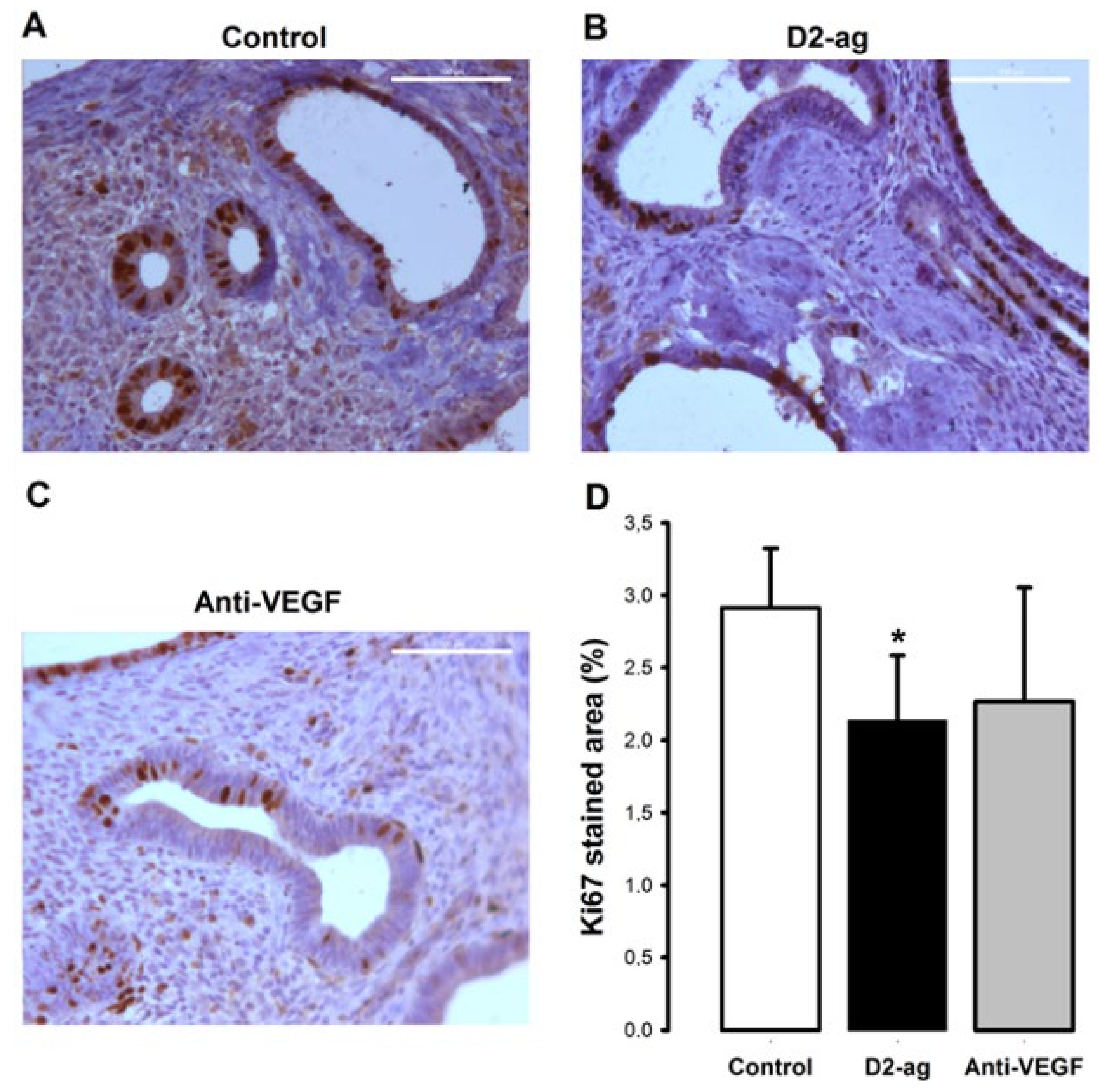 Biomedicines 09 00269 g003 Biomedicines 09 00269 g003