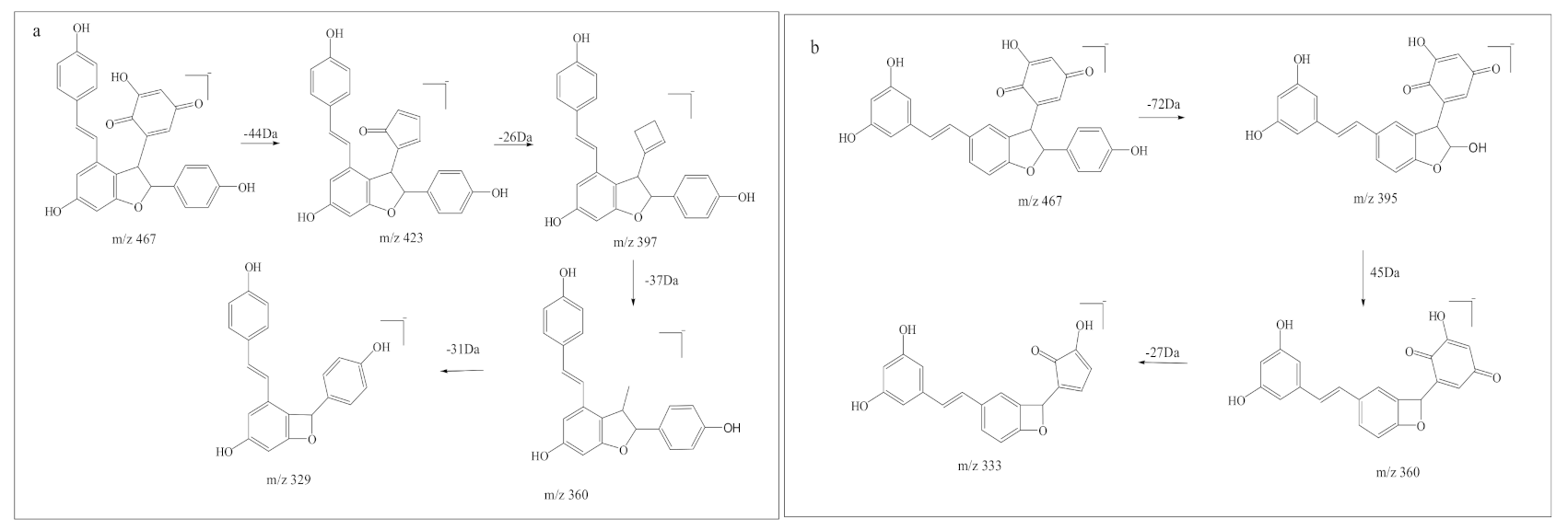 Biomedicines 09 00271 g005 Biomedicines 09 00271 g005