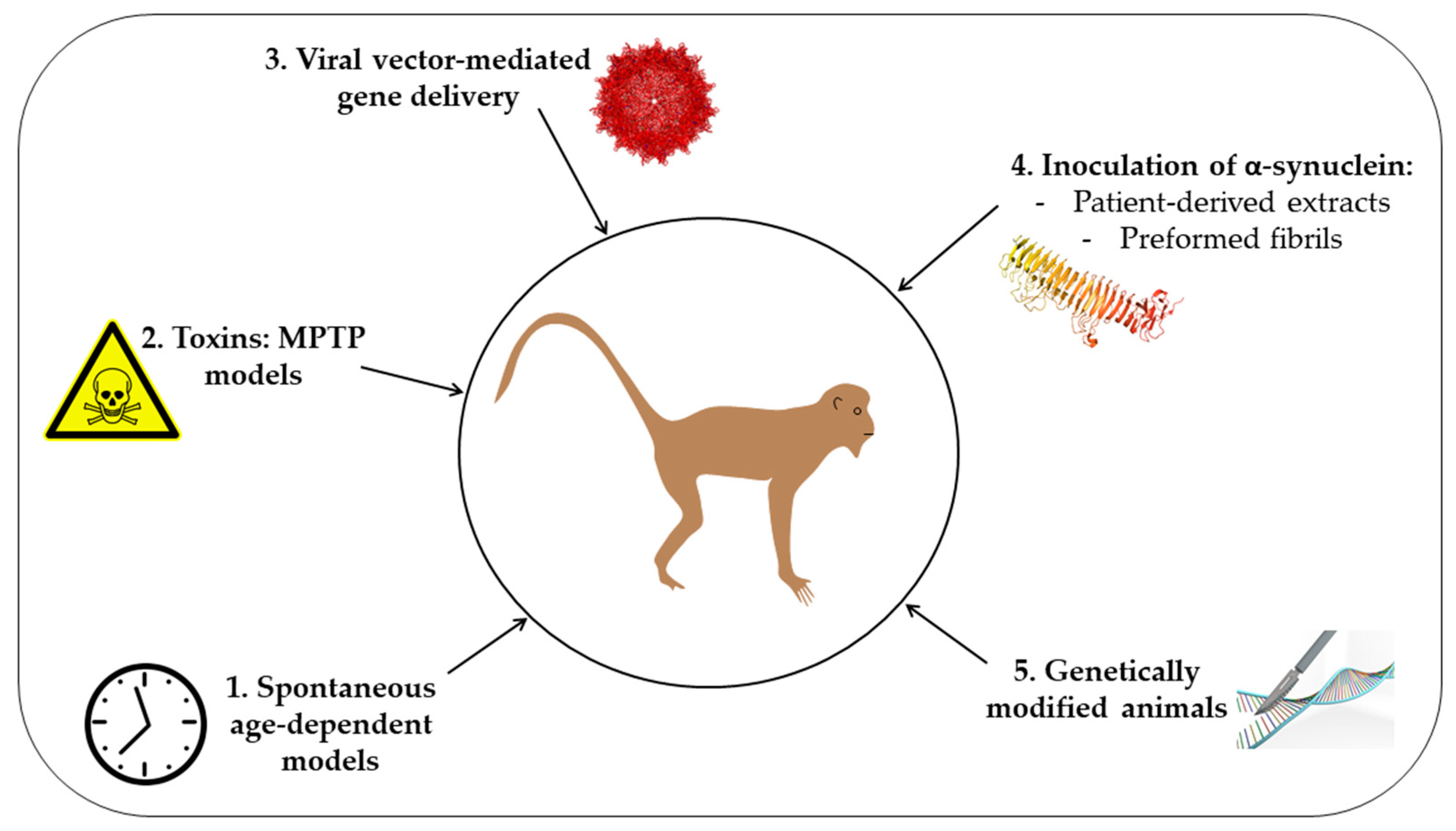 Biomedicines | Free Full-Text | A New Rise of Non-Human Primate Models of  Synucleinopathies
