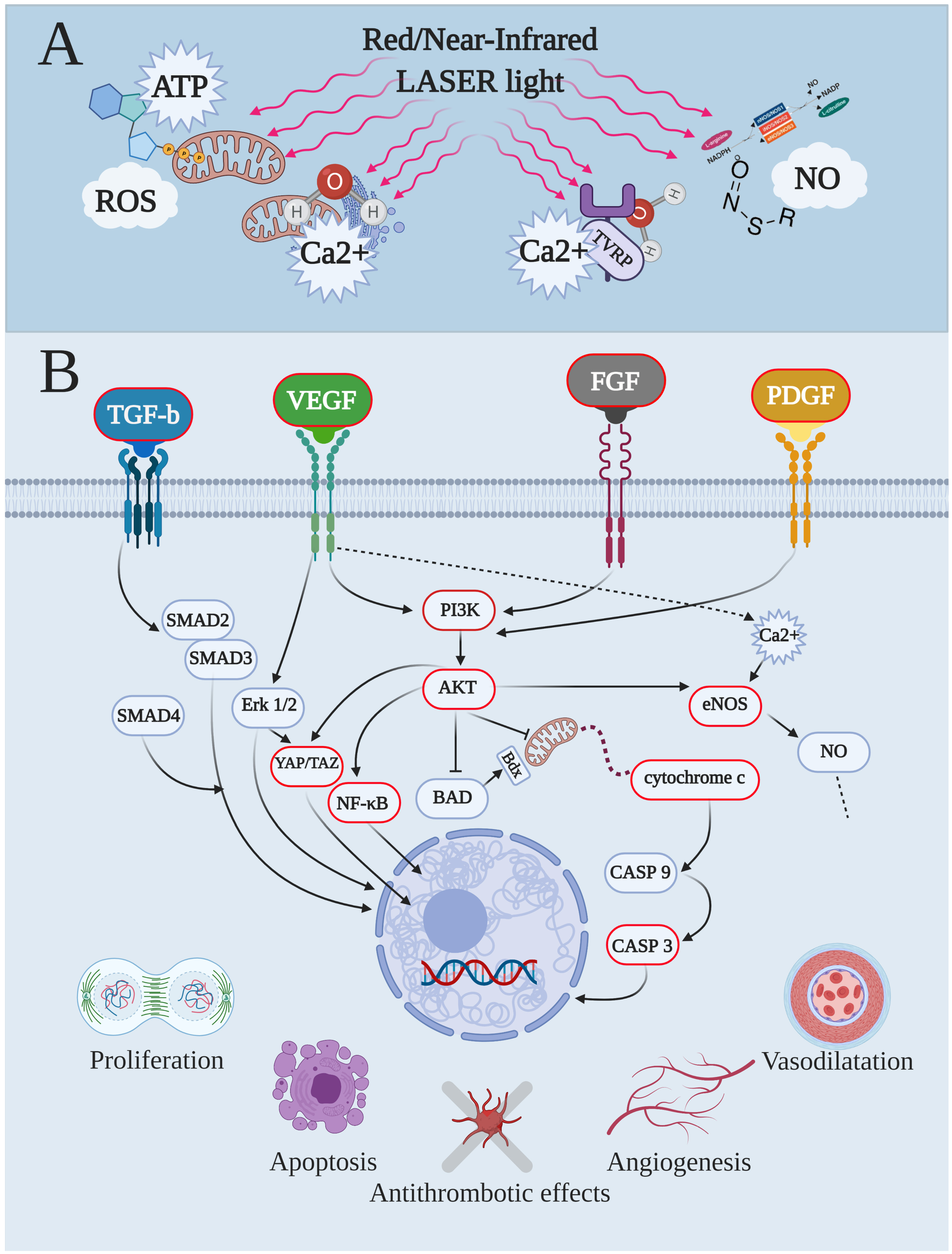 Biomedicines 09 00274 g001 Biomedicines 09 00274 g001