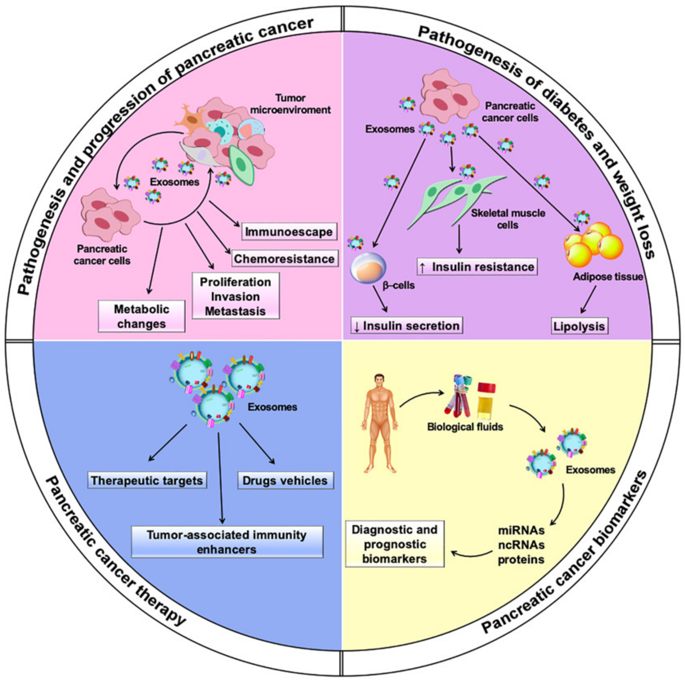 Biomedicines, Free Full-Text