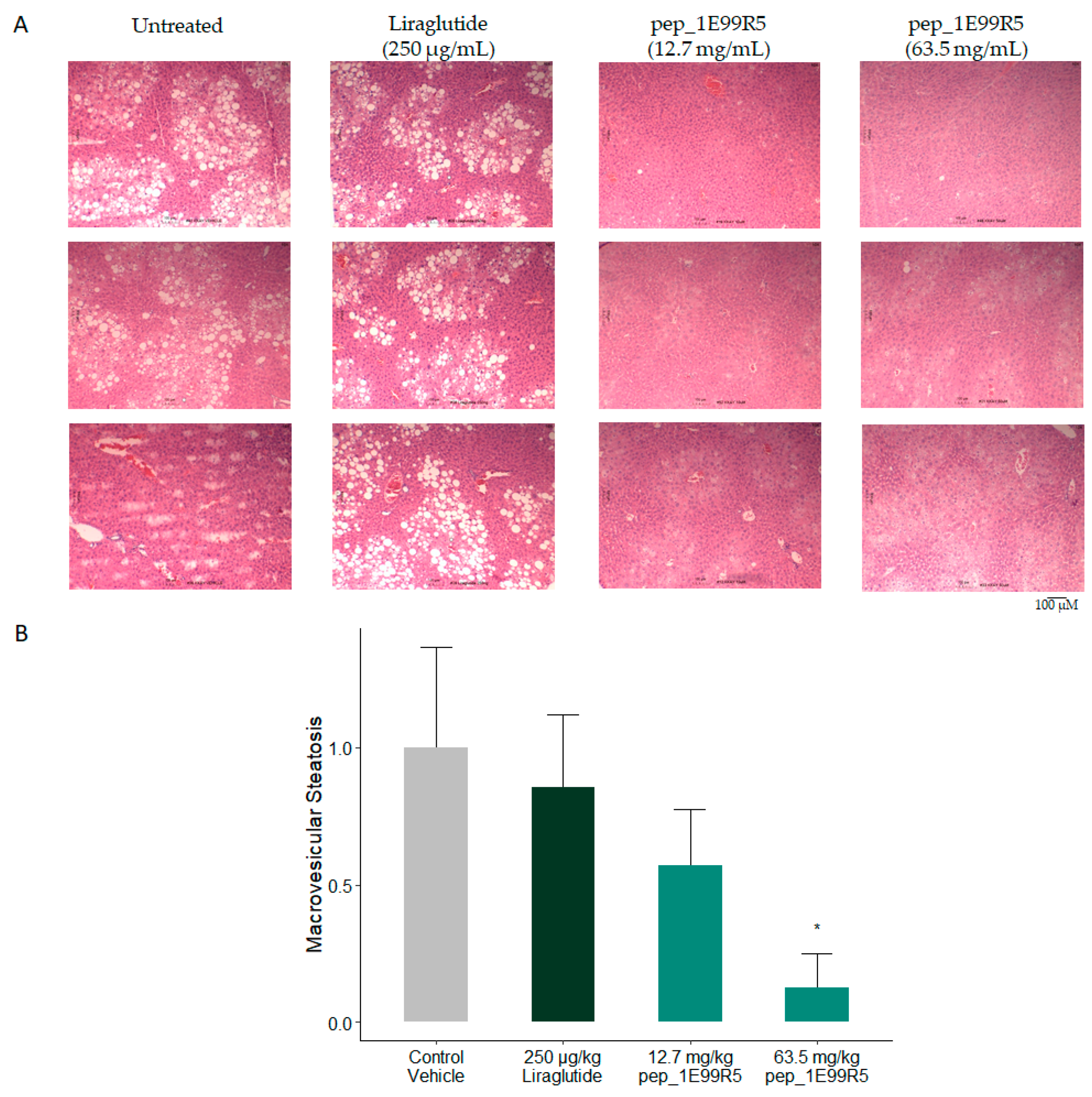 Biomedicines 09 00276 g005 Biomedicines 09 00276 g005