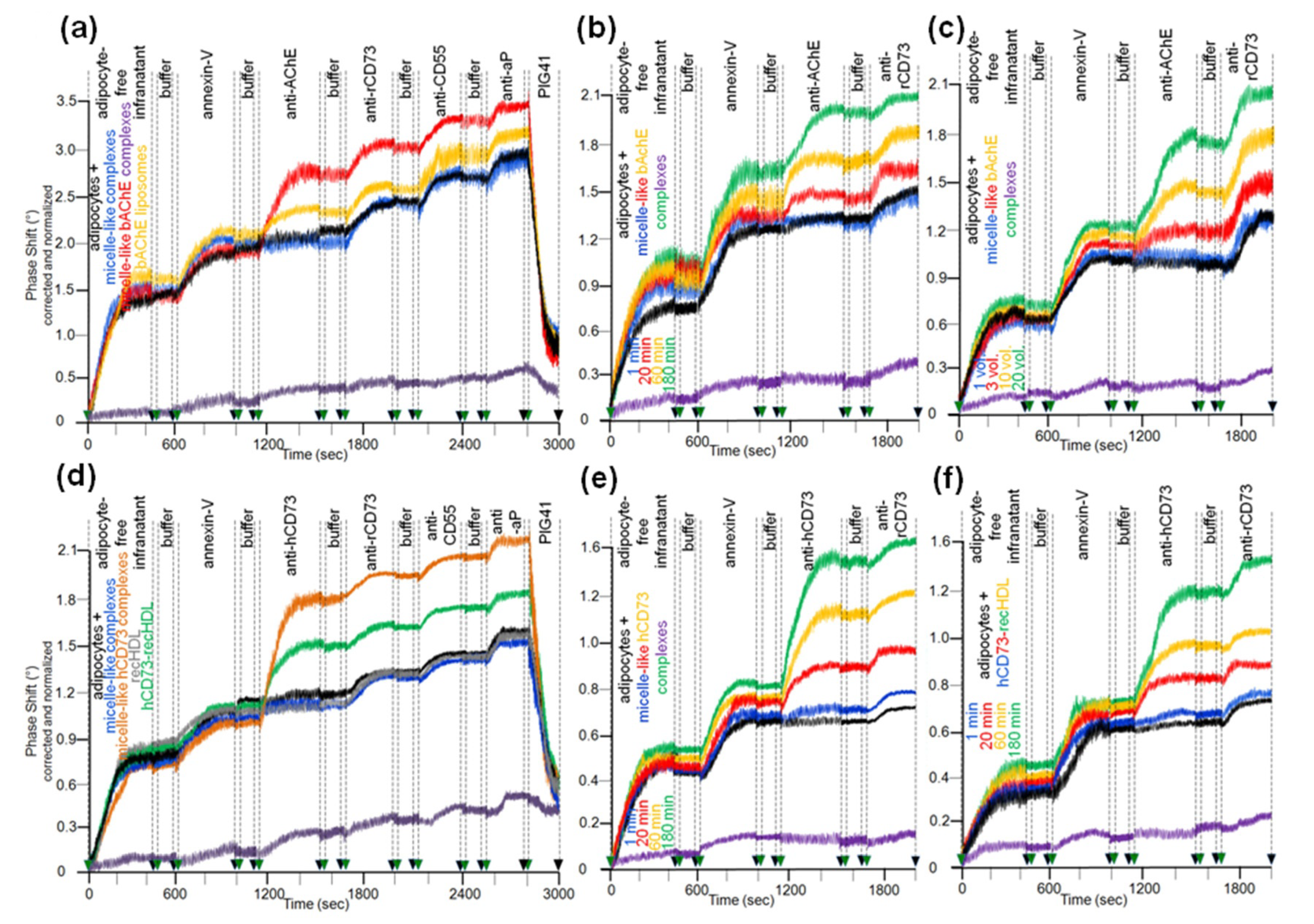 Biomedicines 09 00277 g007 Biomedicines 09 00277 g007