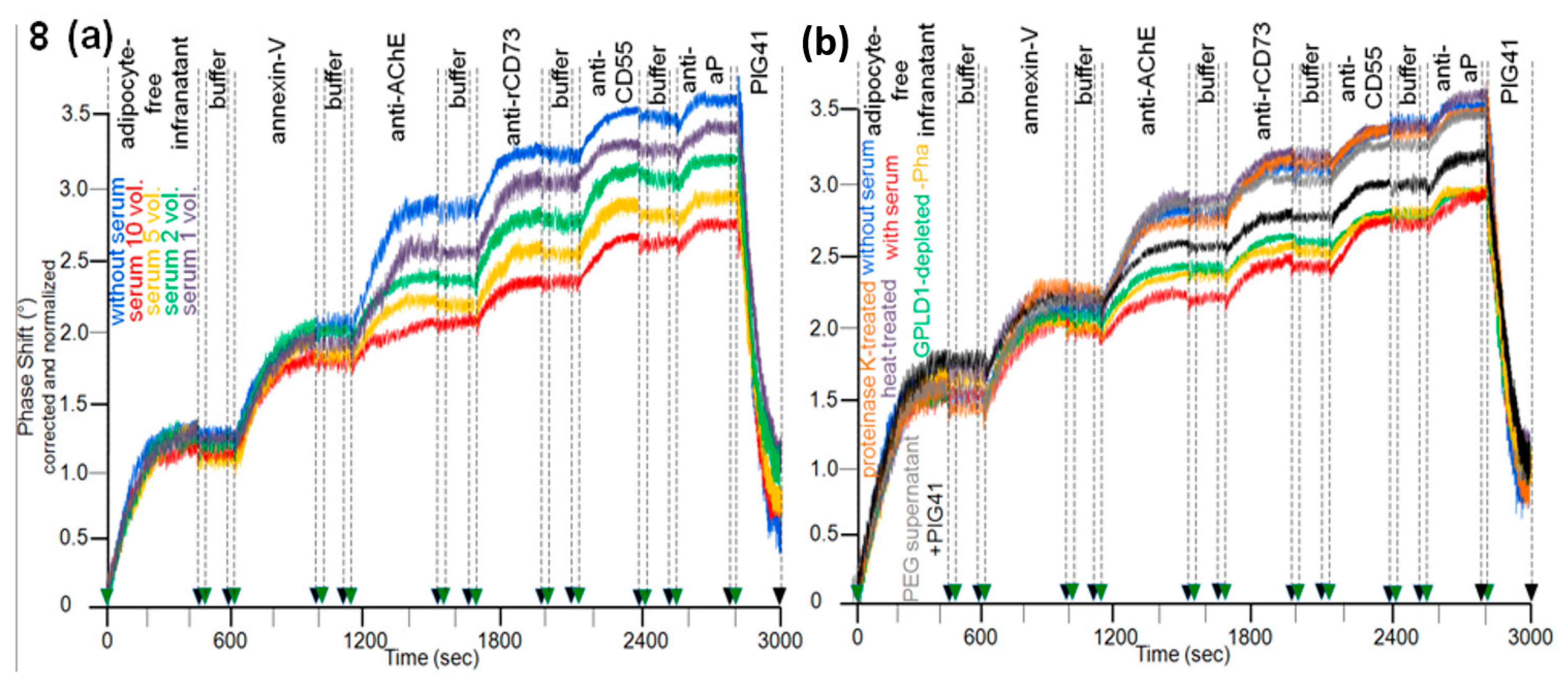 Biomedicines 09 00277 g008 Biomedicines 09 00277 g008