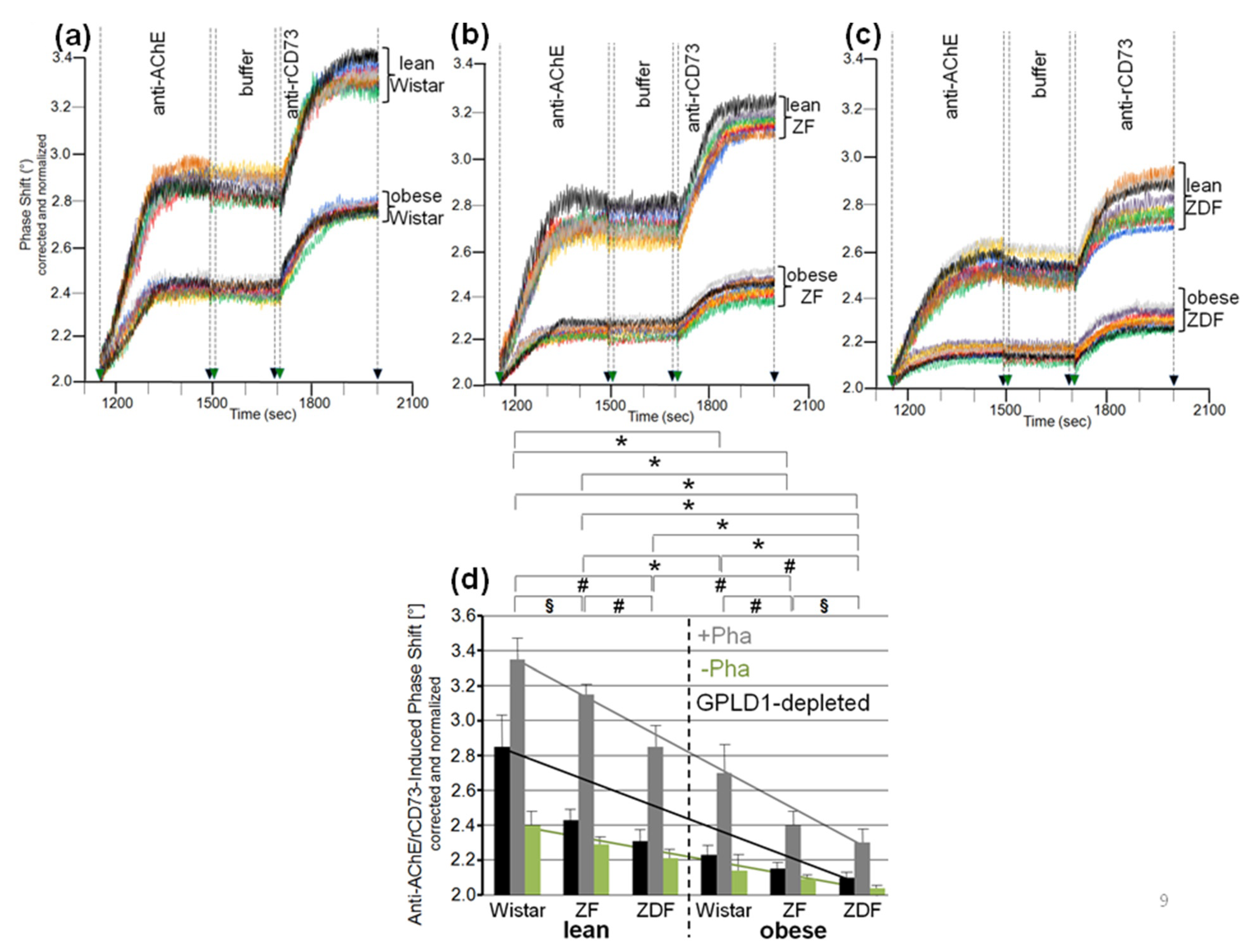 Biomedicines 09 00277 g009 Biomedicines 09 00277 g009