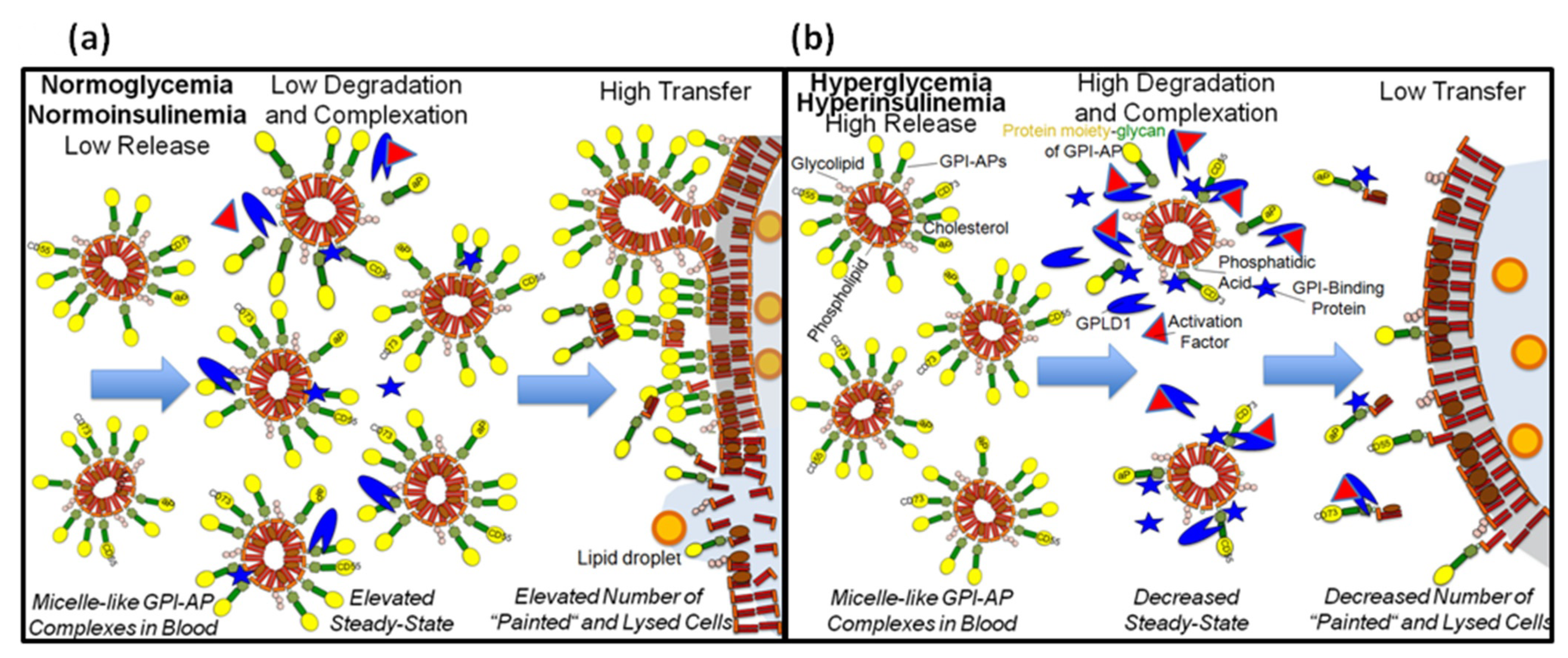 Biomedicines 09 00277 g012