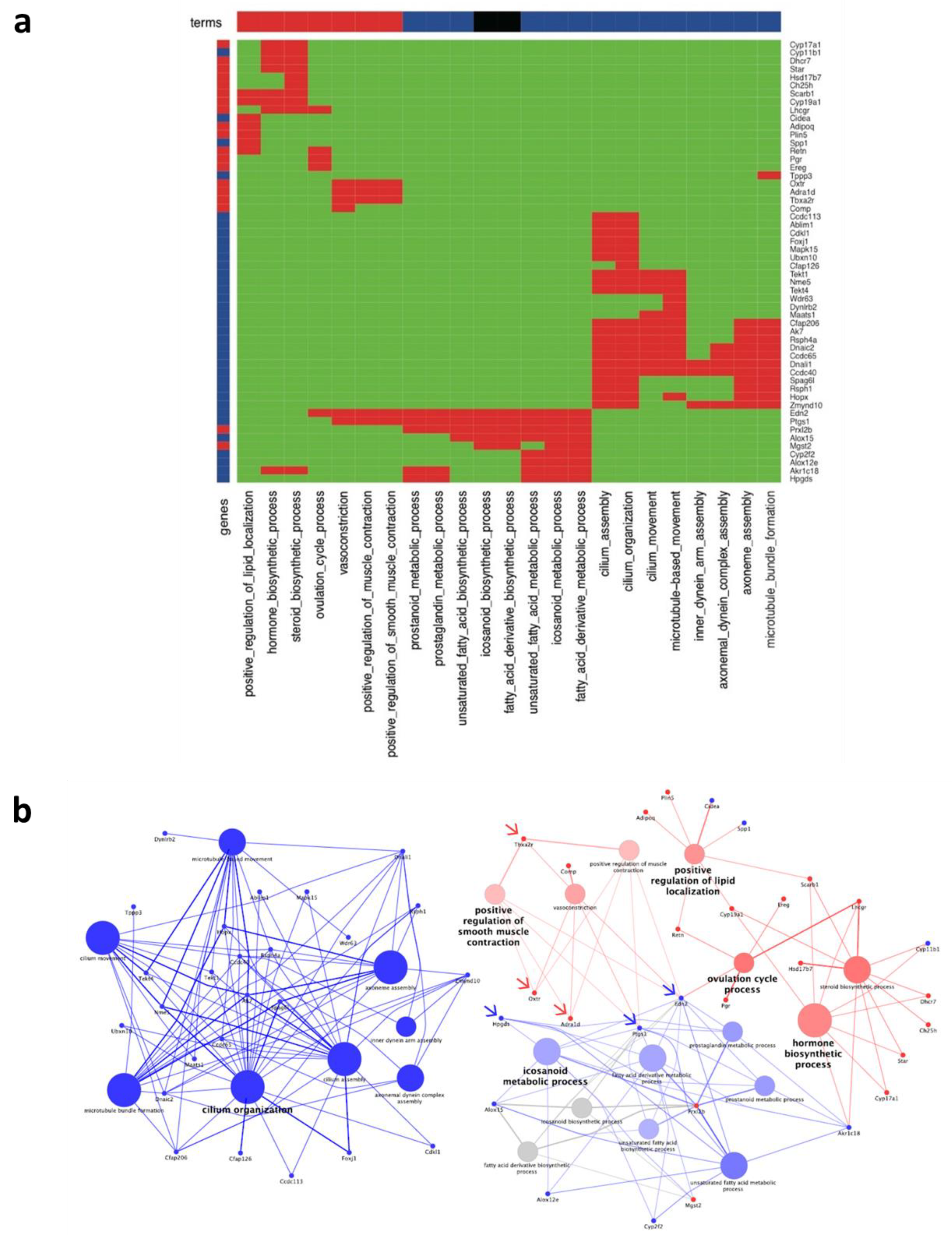 Biomedicines 09 00280 g005
