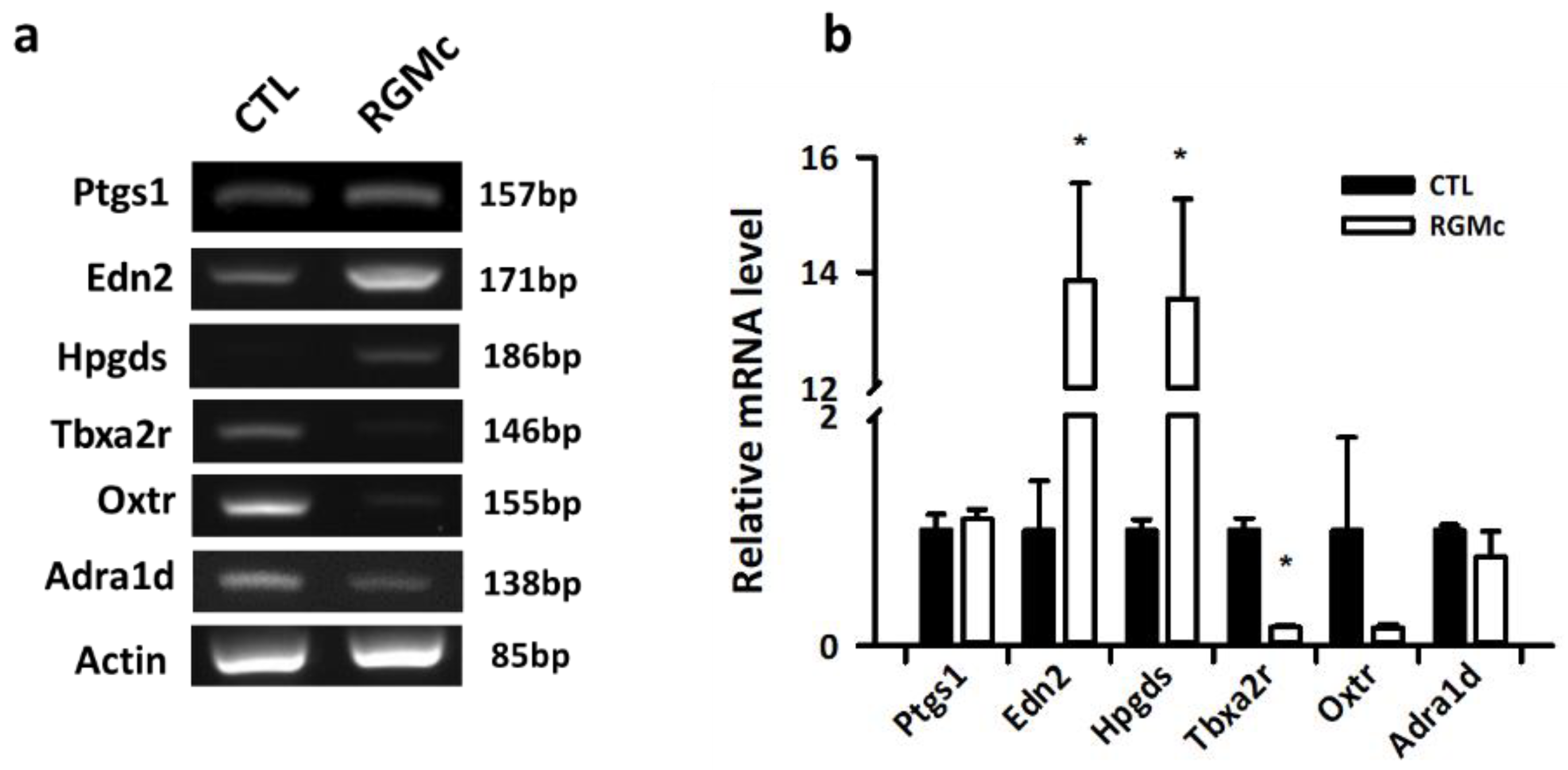 Biomedicines 09 00280 g006