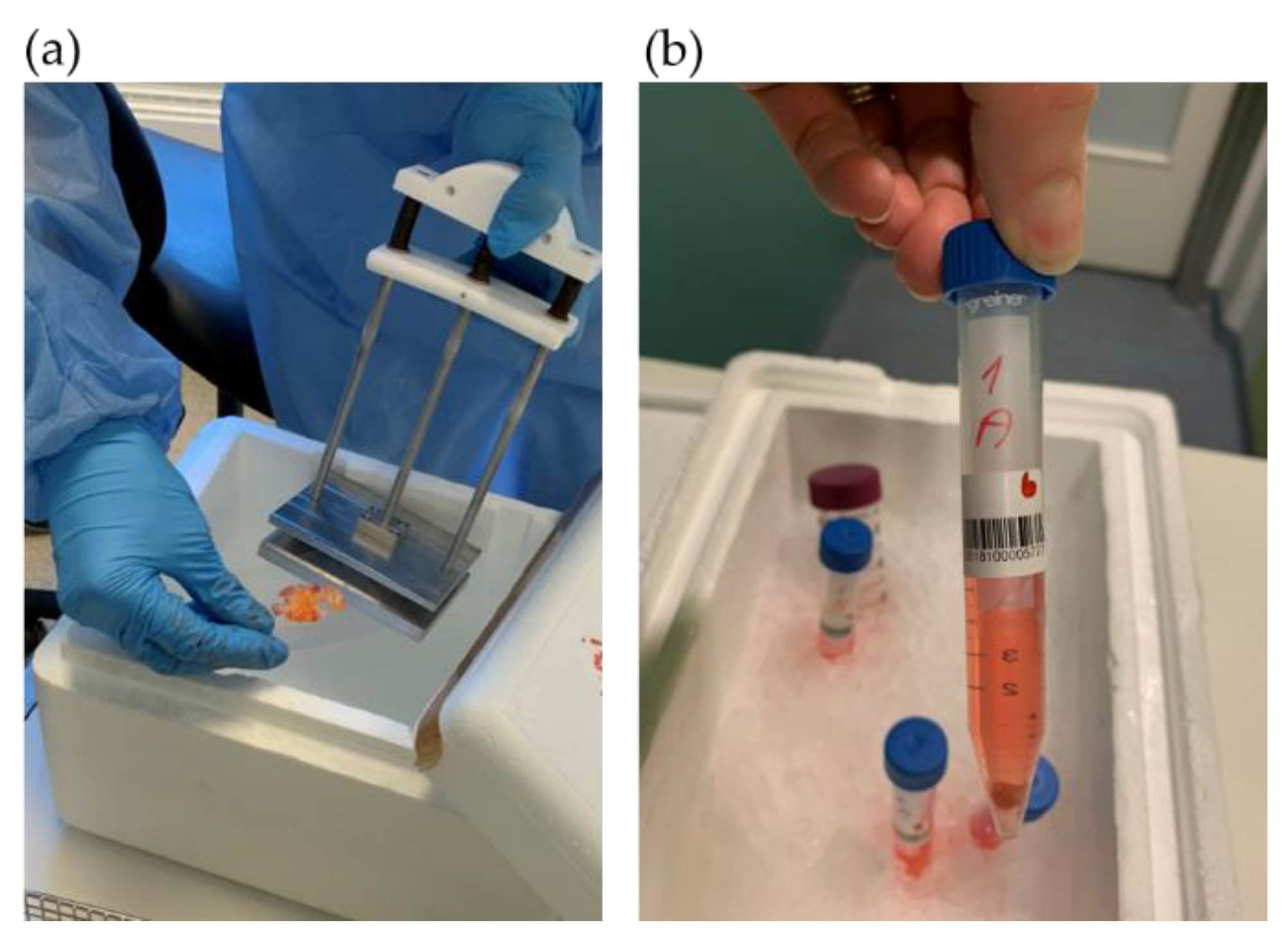 Biomedicines 09 00282 g002
