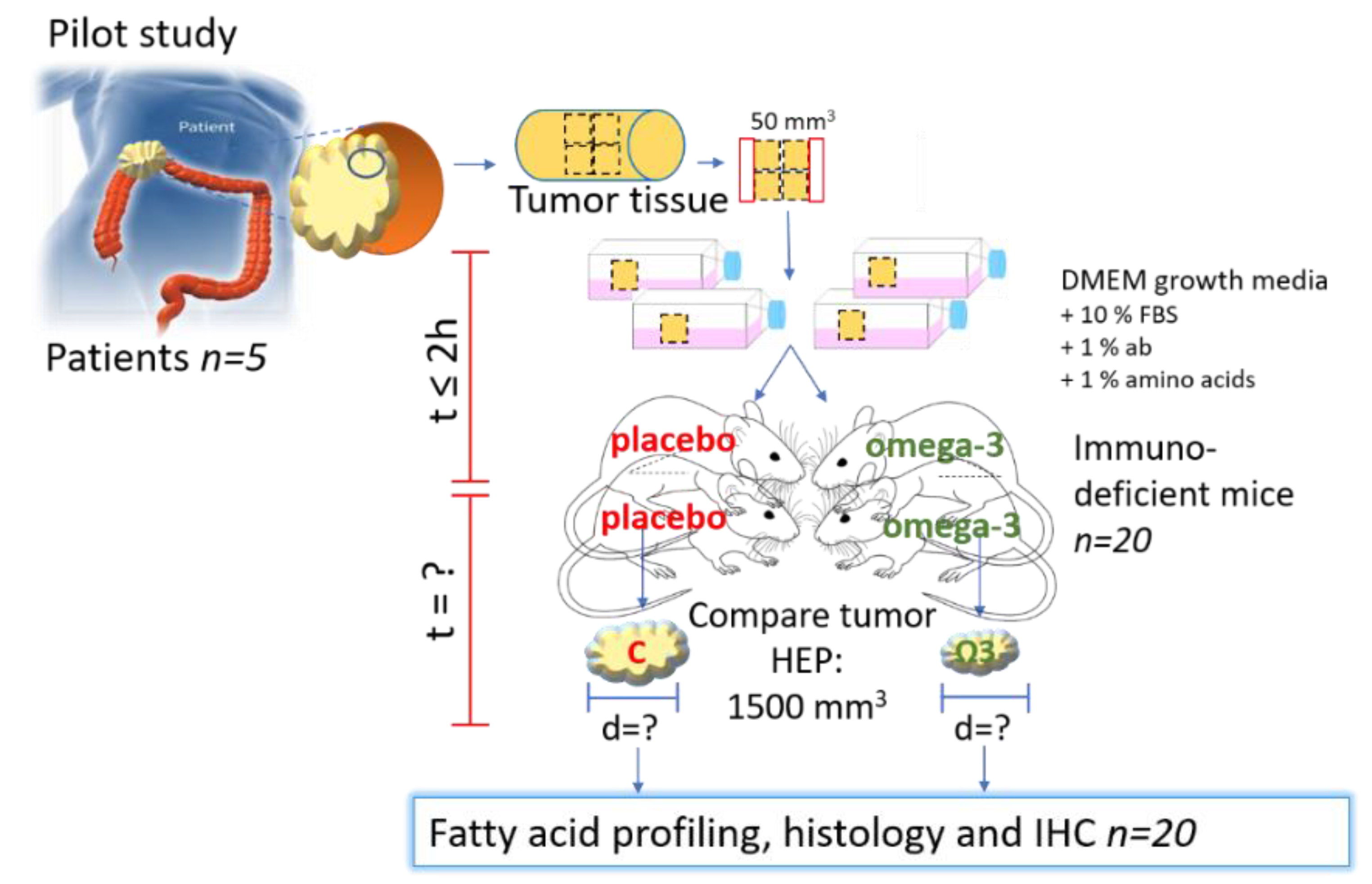 Biomedicines 09 00282 g004