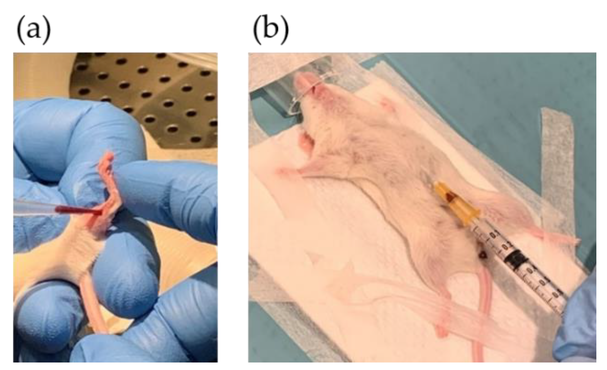 Biomedicines 09 00282 g005