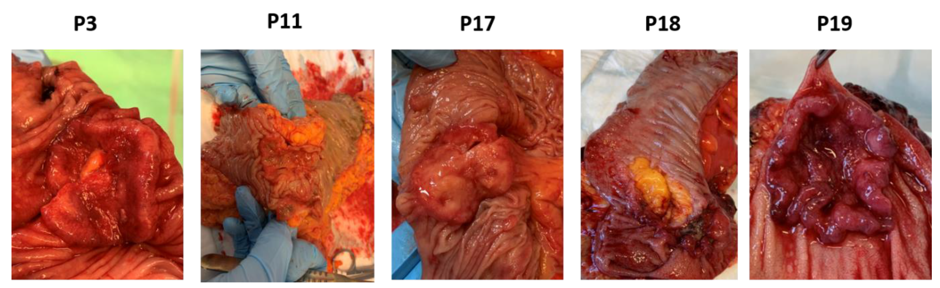 Biomedicines 09 00282 g006