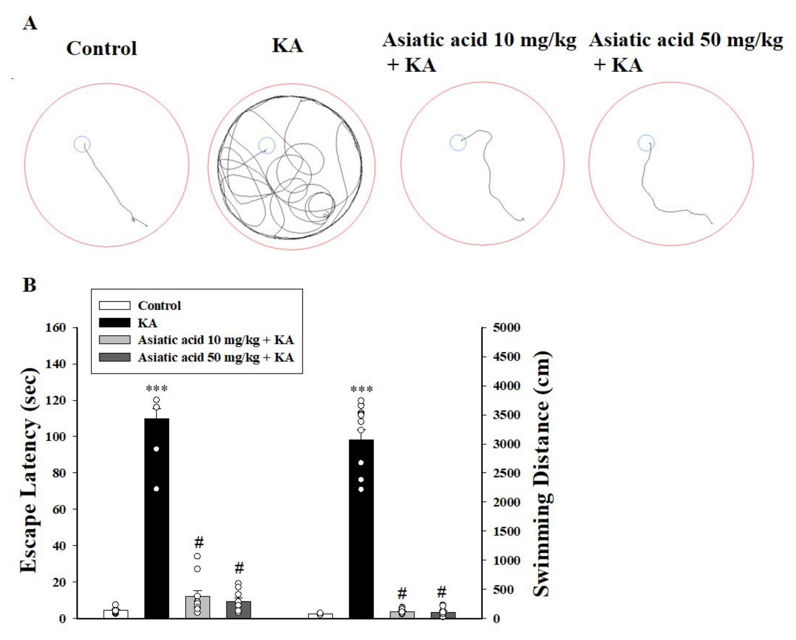 Biomedicines 09 00284 g002