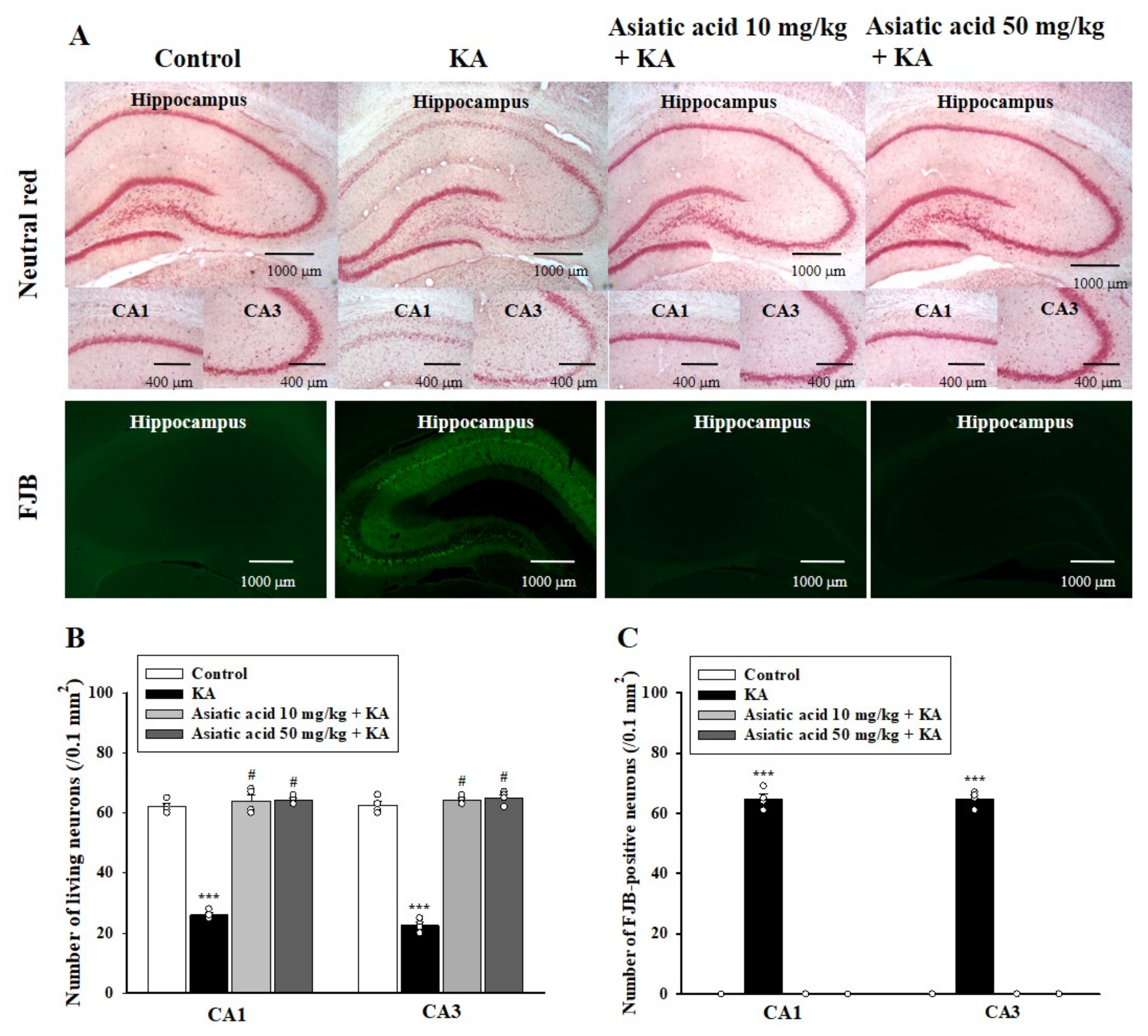 Biomedicines 09 00284 g003