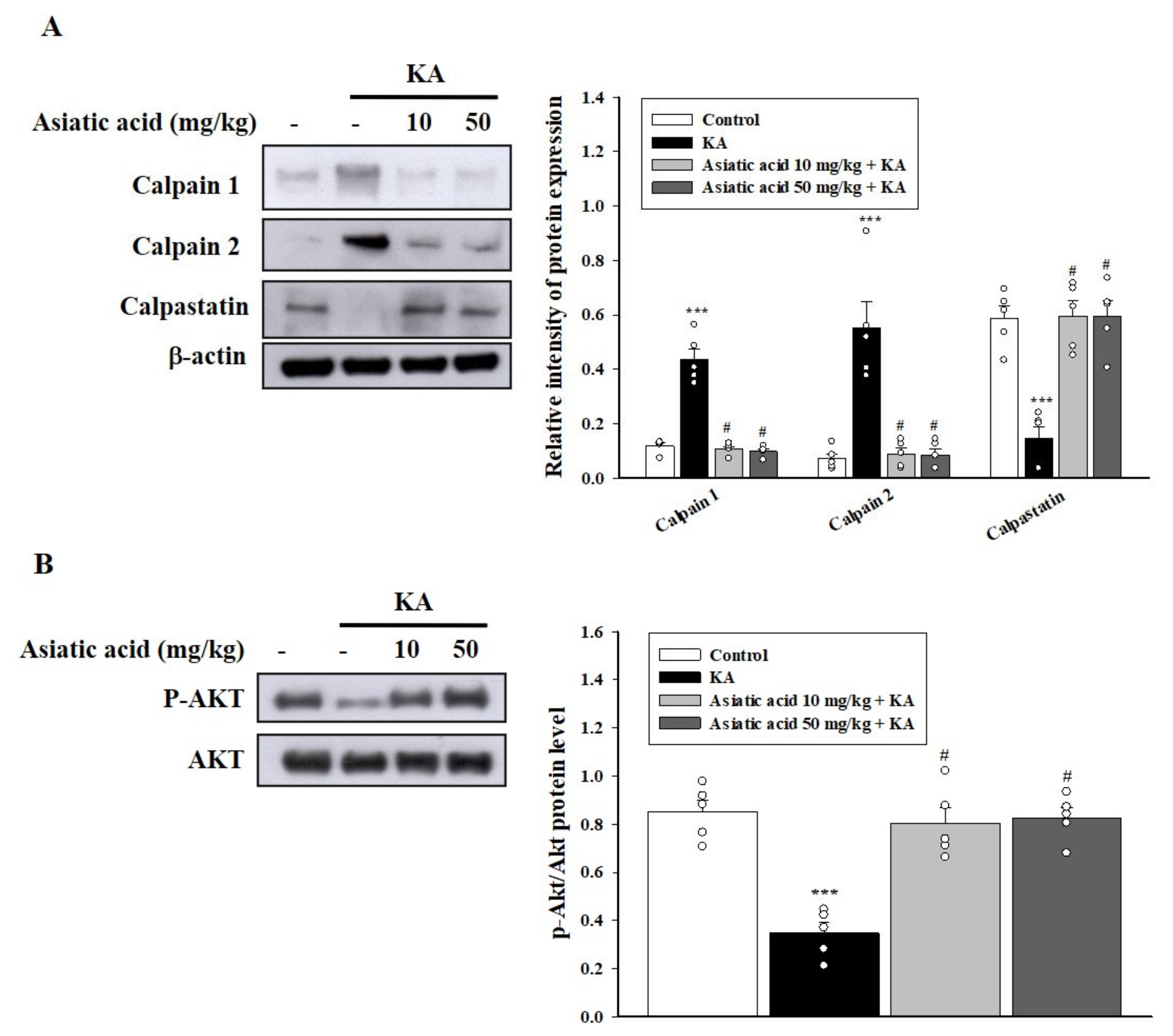 Biomedicines 09 00284 g004