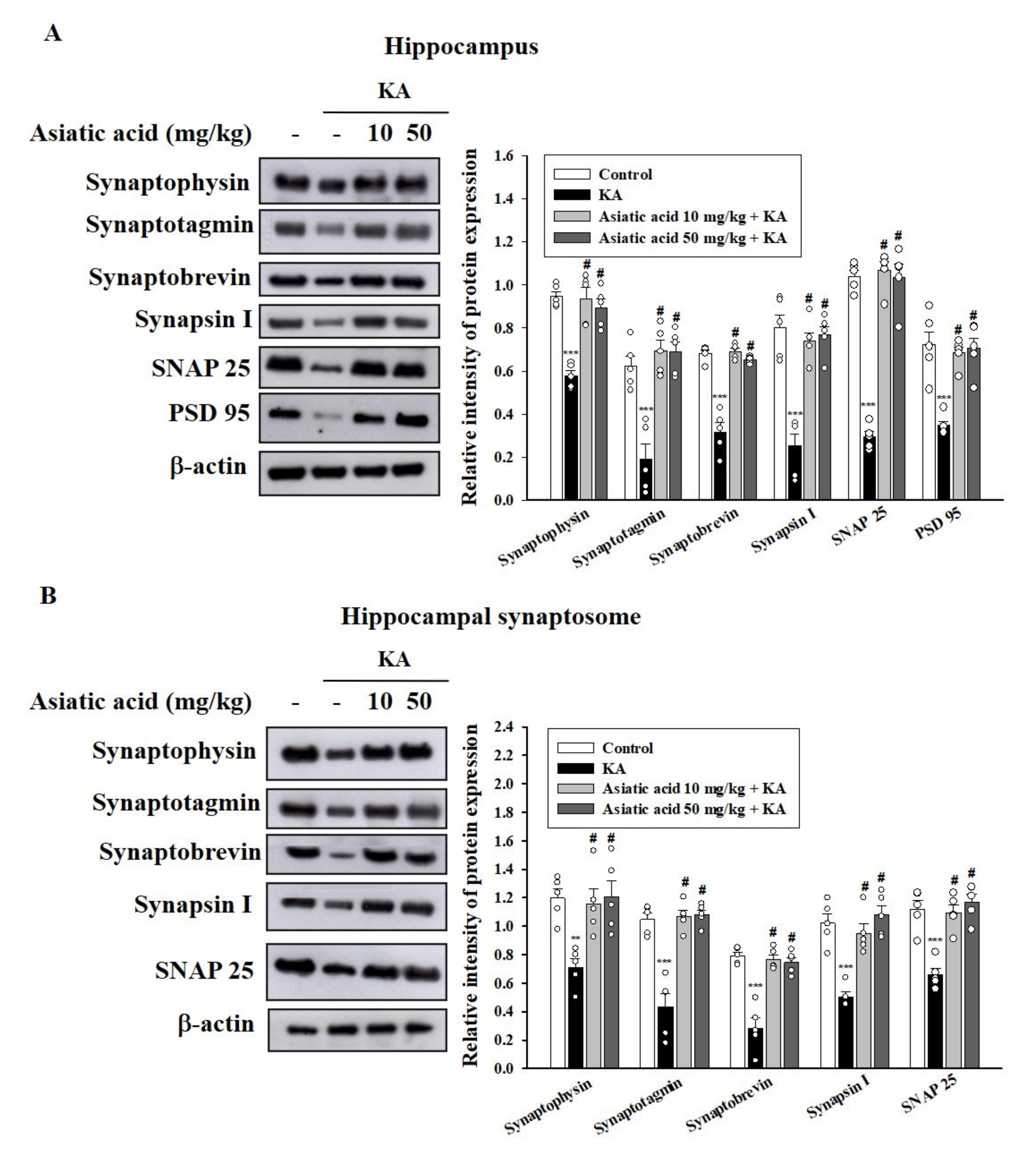 Biomedicines 09 00284 g005