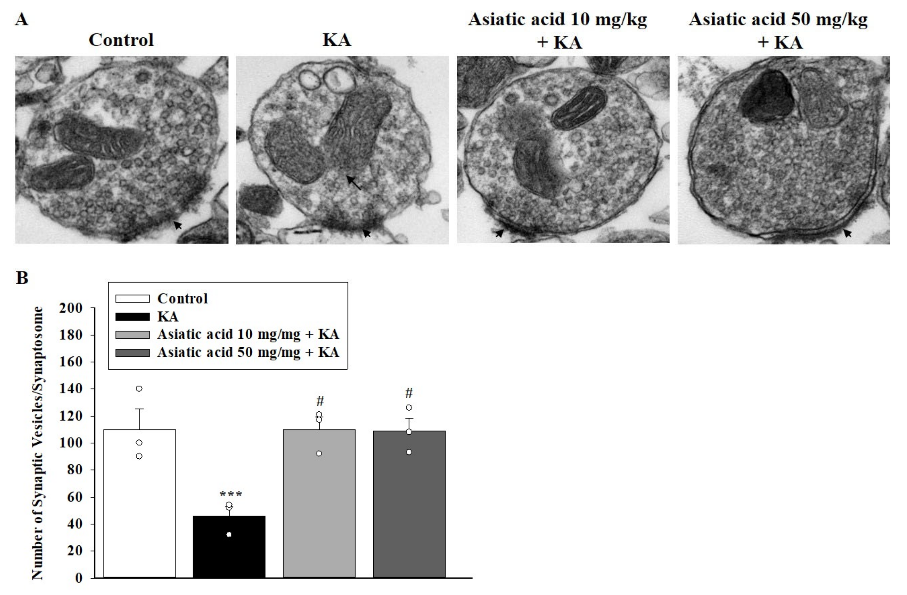 Biomedicines 09 00284 g006
