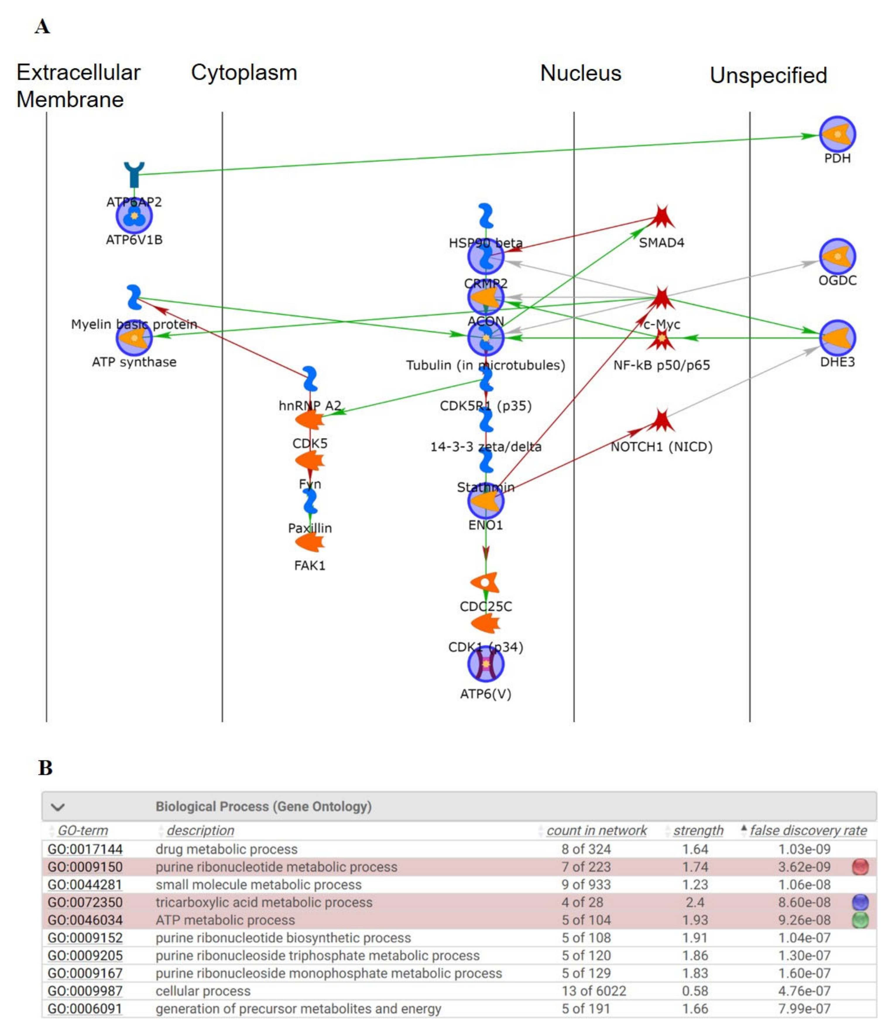 Biomedicines 09 00284 g008