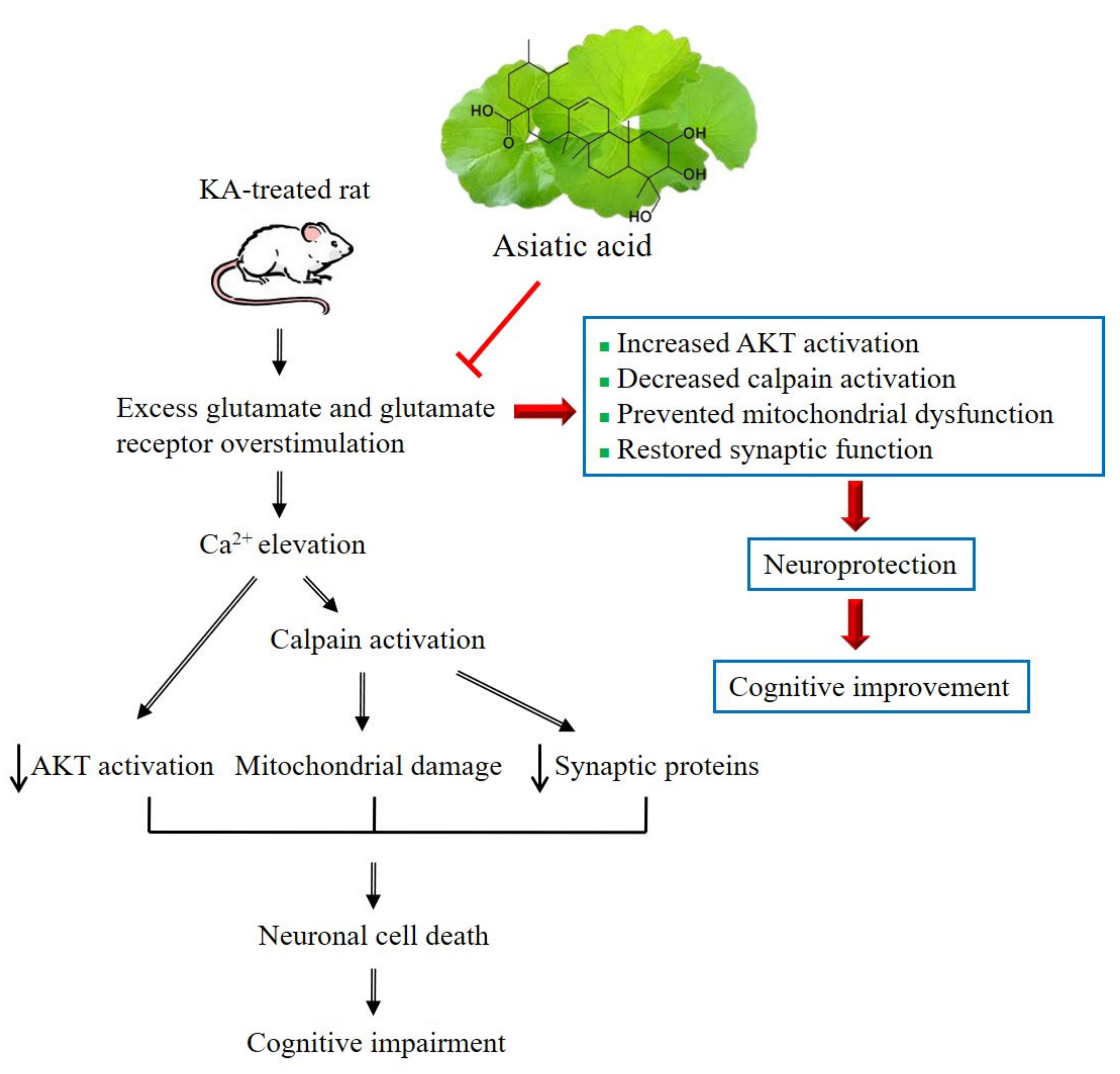 Biomedicines 09 00284 g009