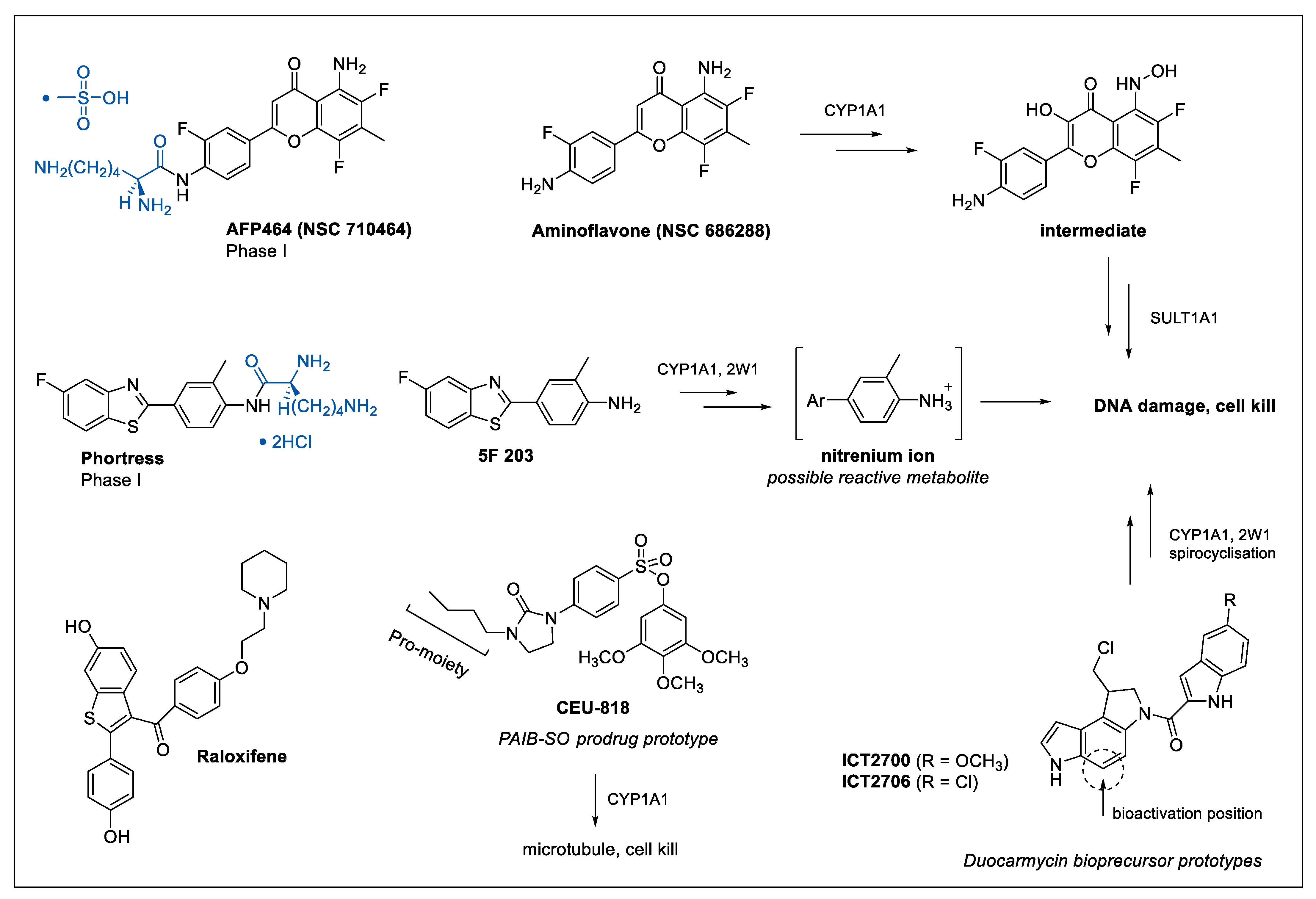 Biomedicines 09 00290 g003