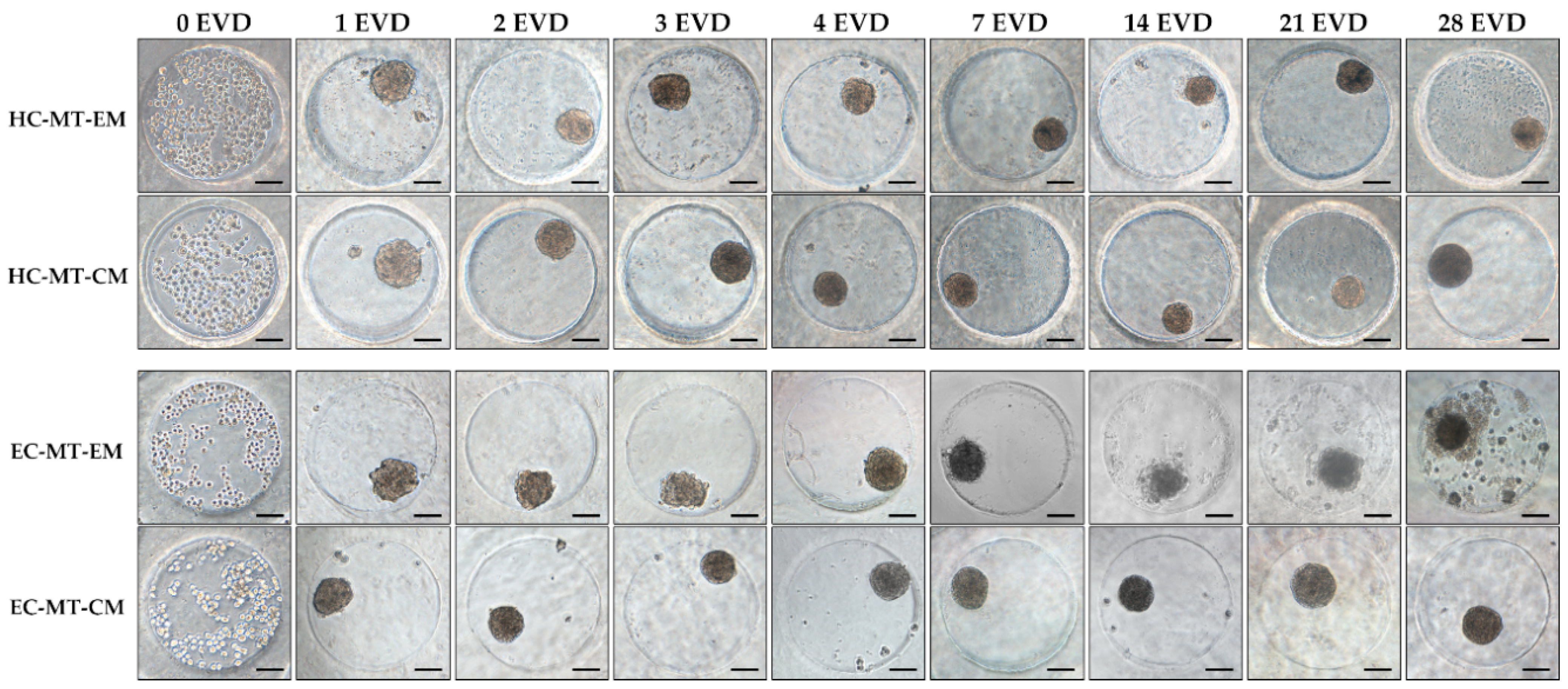Biomedicines 09 00292 g001 Biomedicines 09 00292 g001