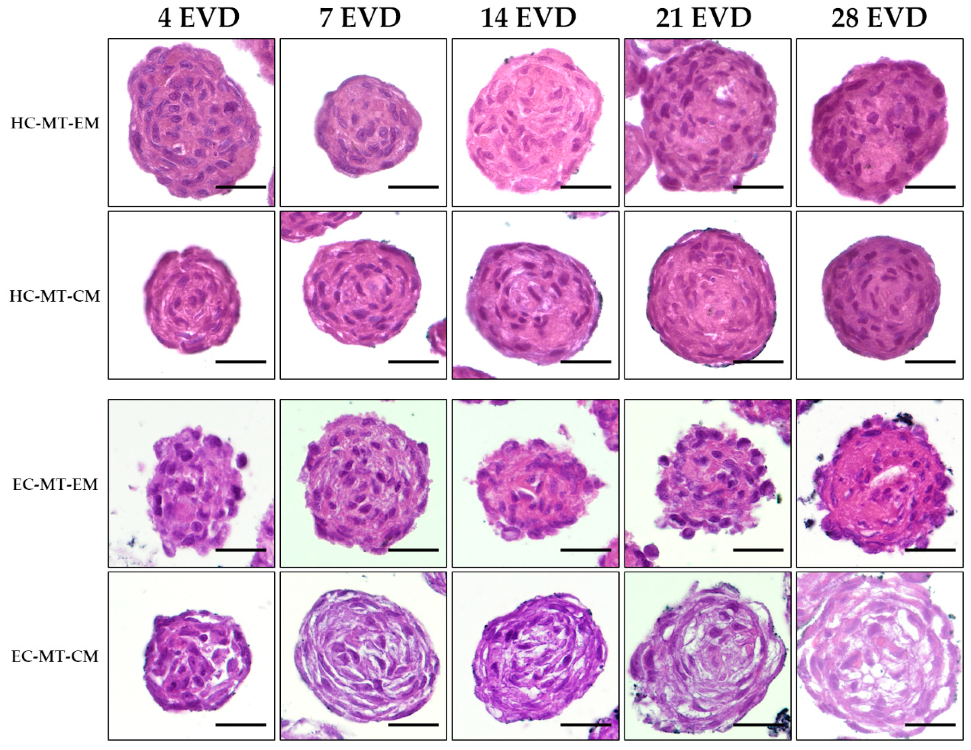 Biomedicines 09 00292 g005 Biomedicines 09 00292 g005
