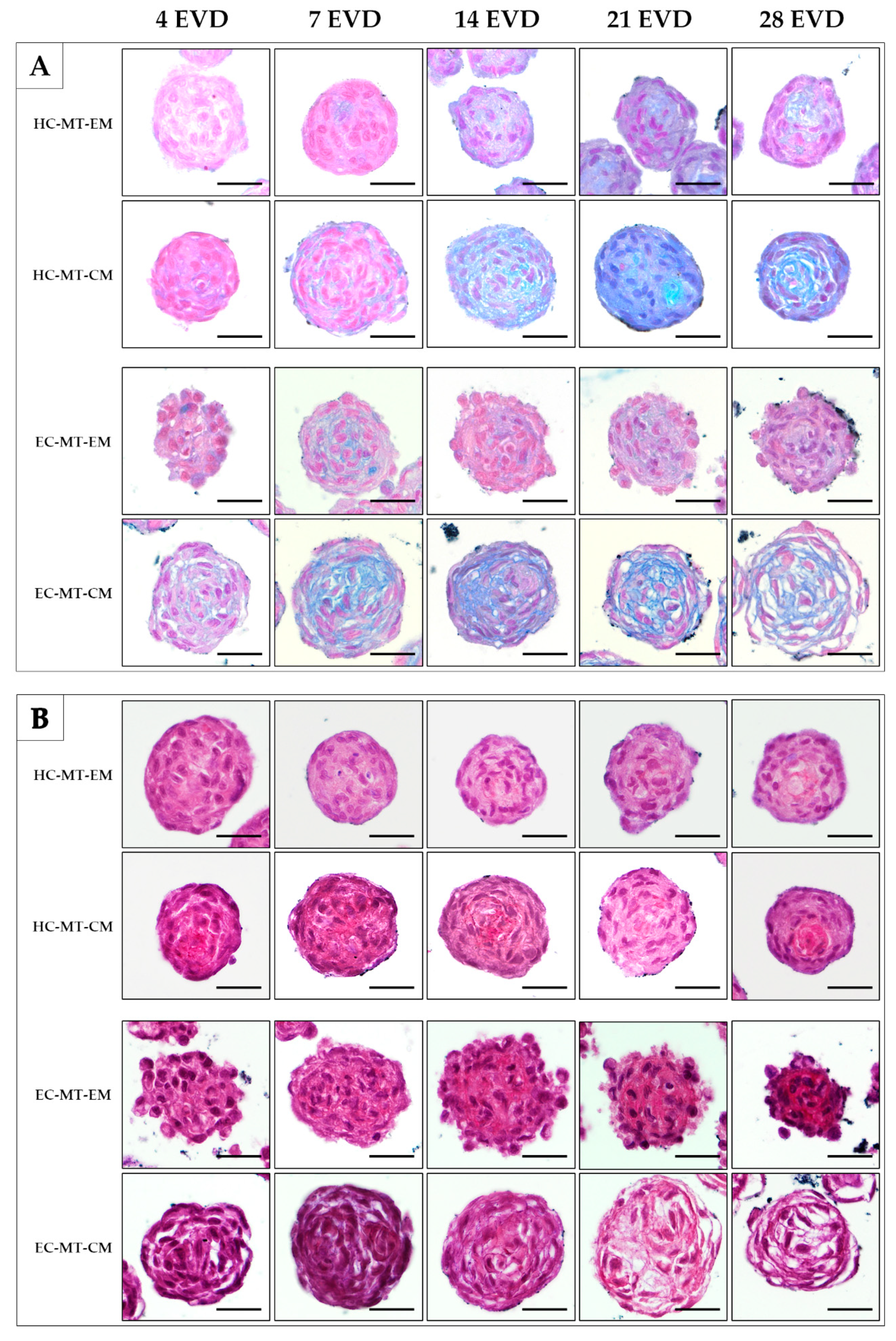 Biomedicines 09 00292 g007 Biomedicines 09 00292 g007