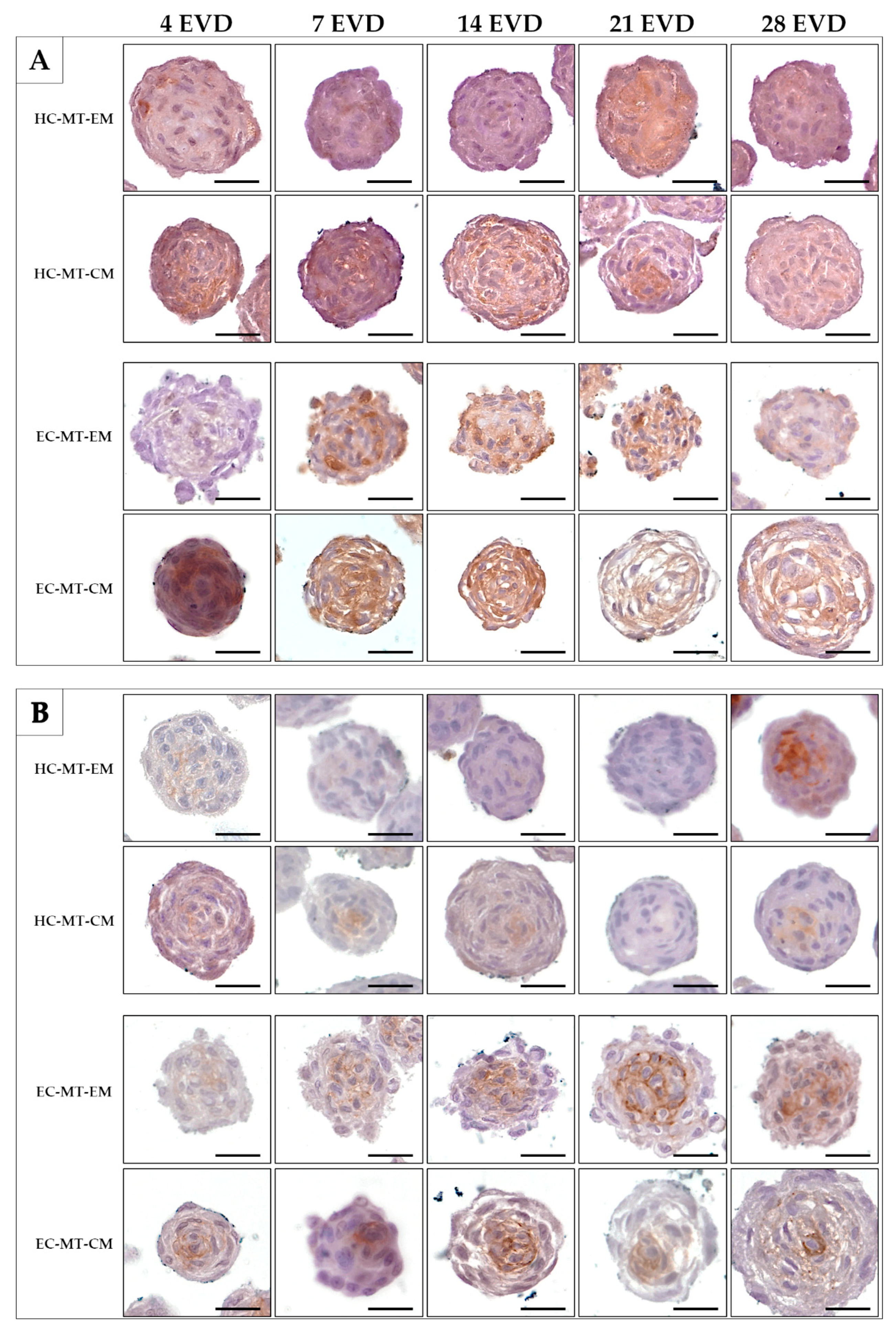 Biomedicines 09 00292 g008 Biomedicines 09 00292 g008