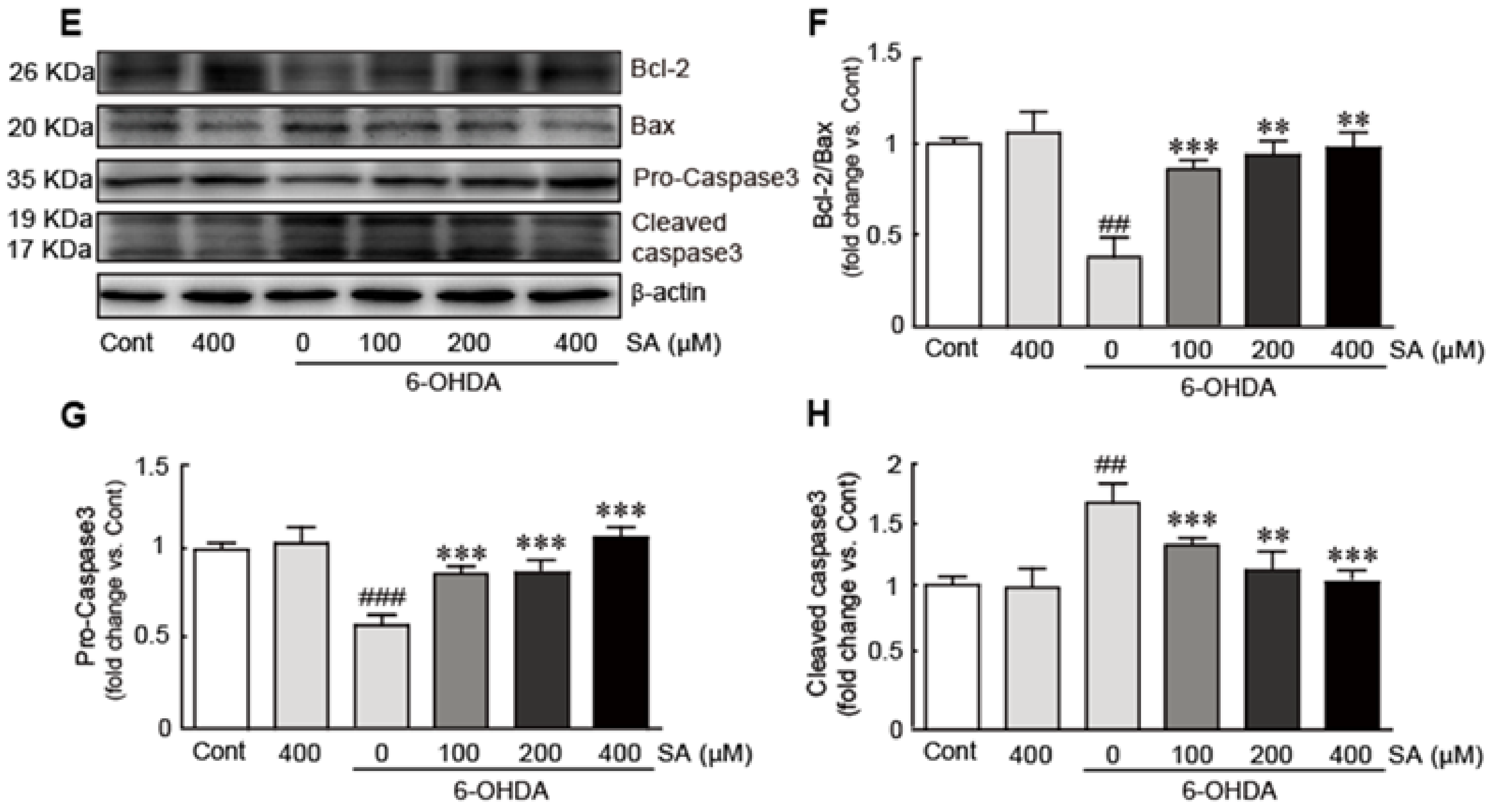 Biomedicines 09 00295 g003b