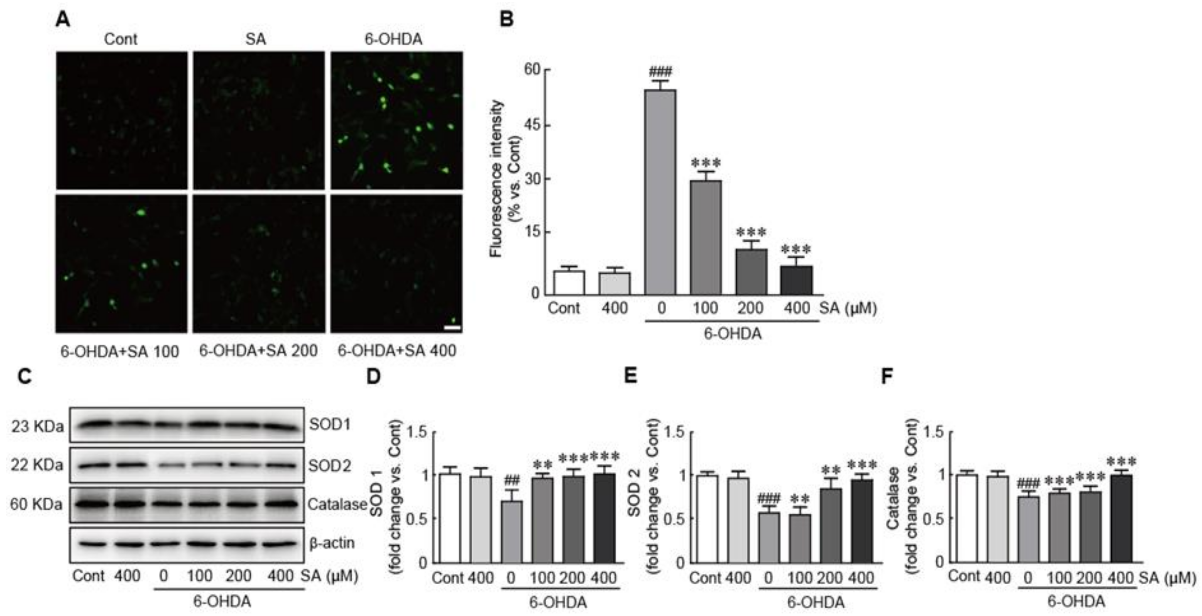 Biomedicines 09 00295 g004