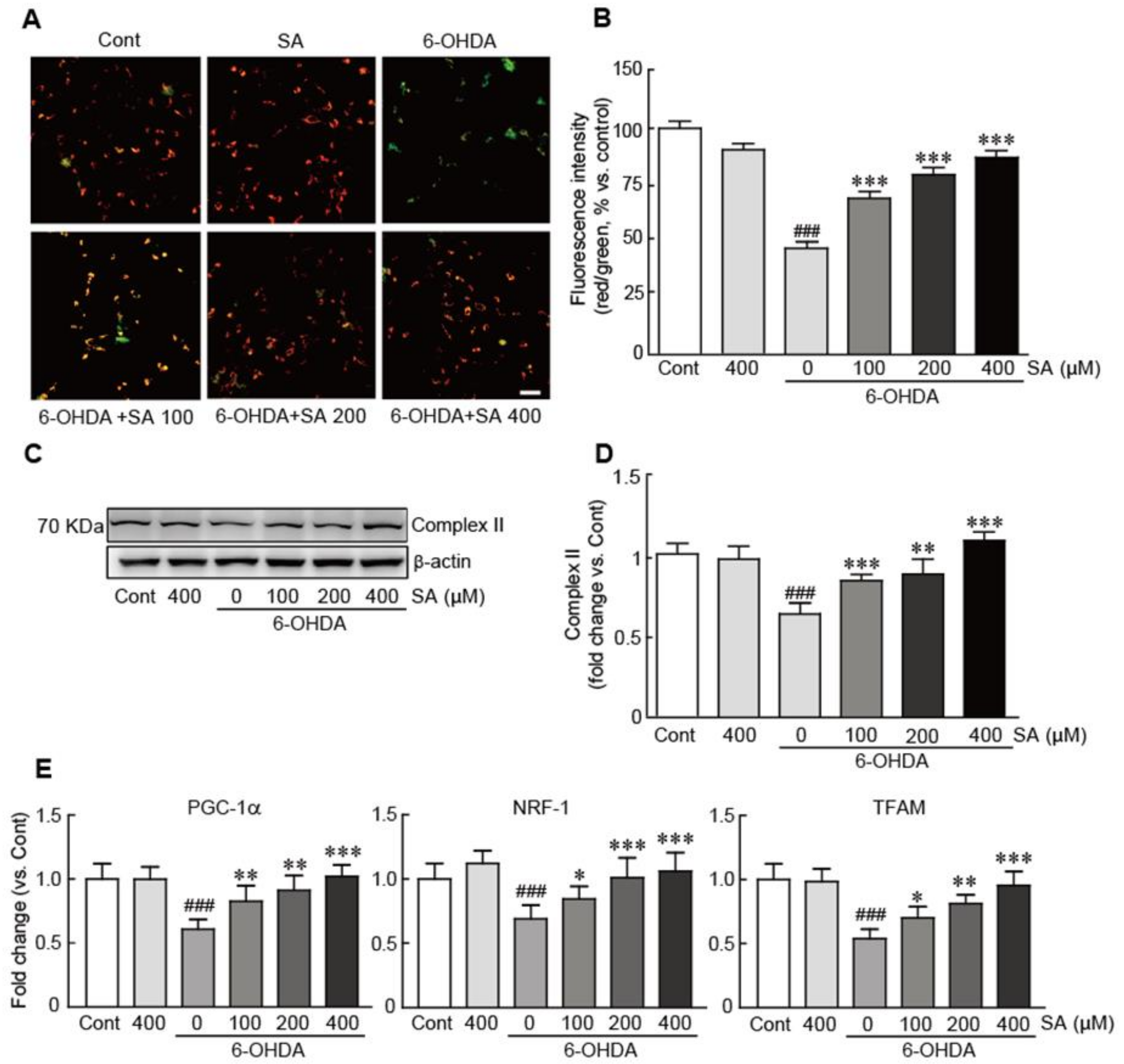 Biomedicines 09 00295 g005