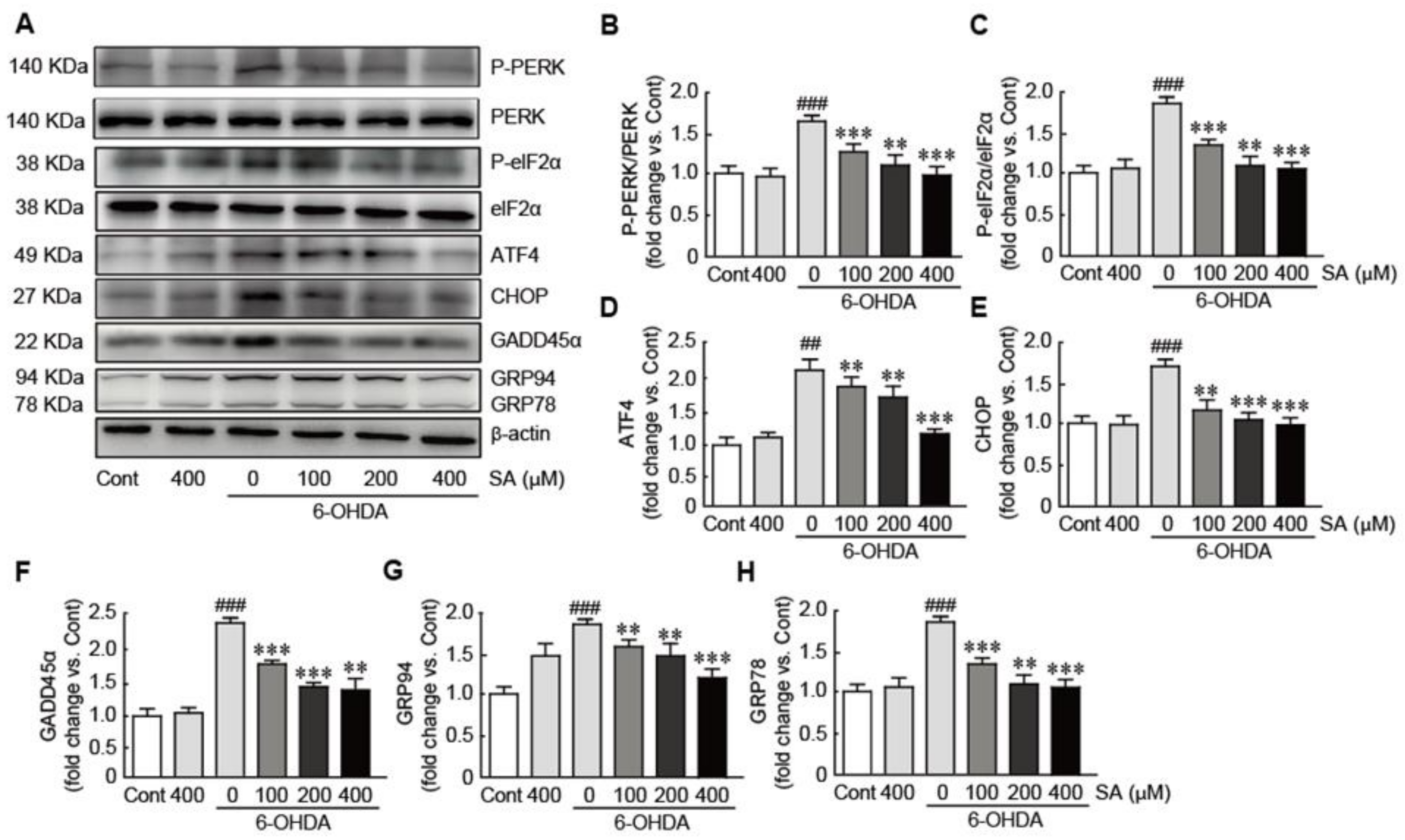 Biomedicines 09 00295 g006