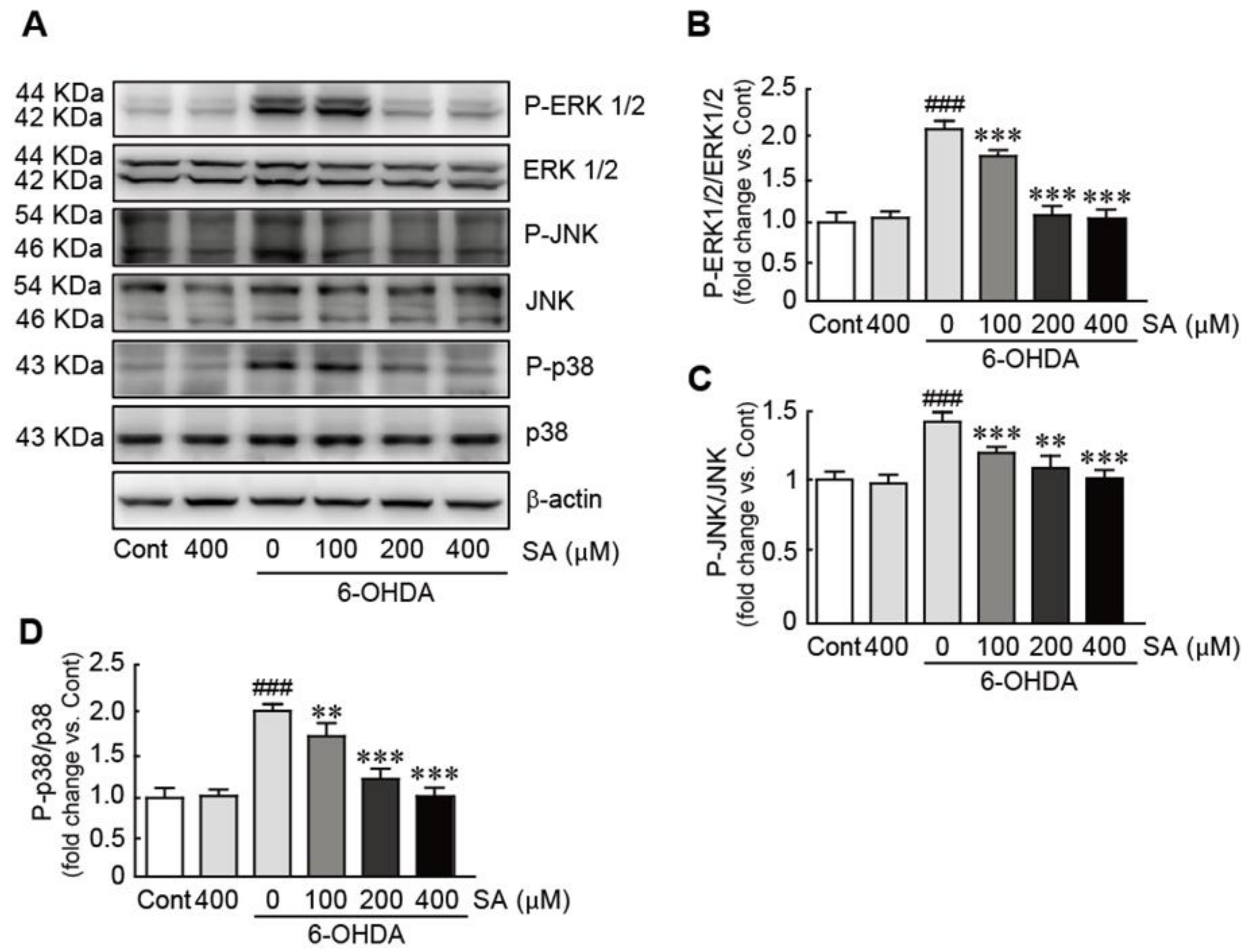 Biomedicines 09 00295 g007