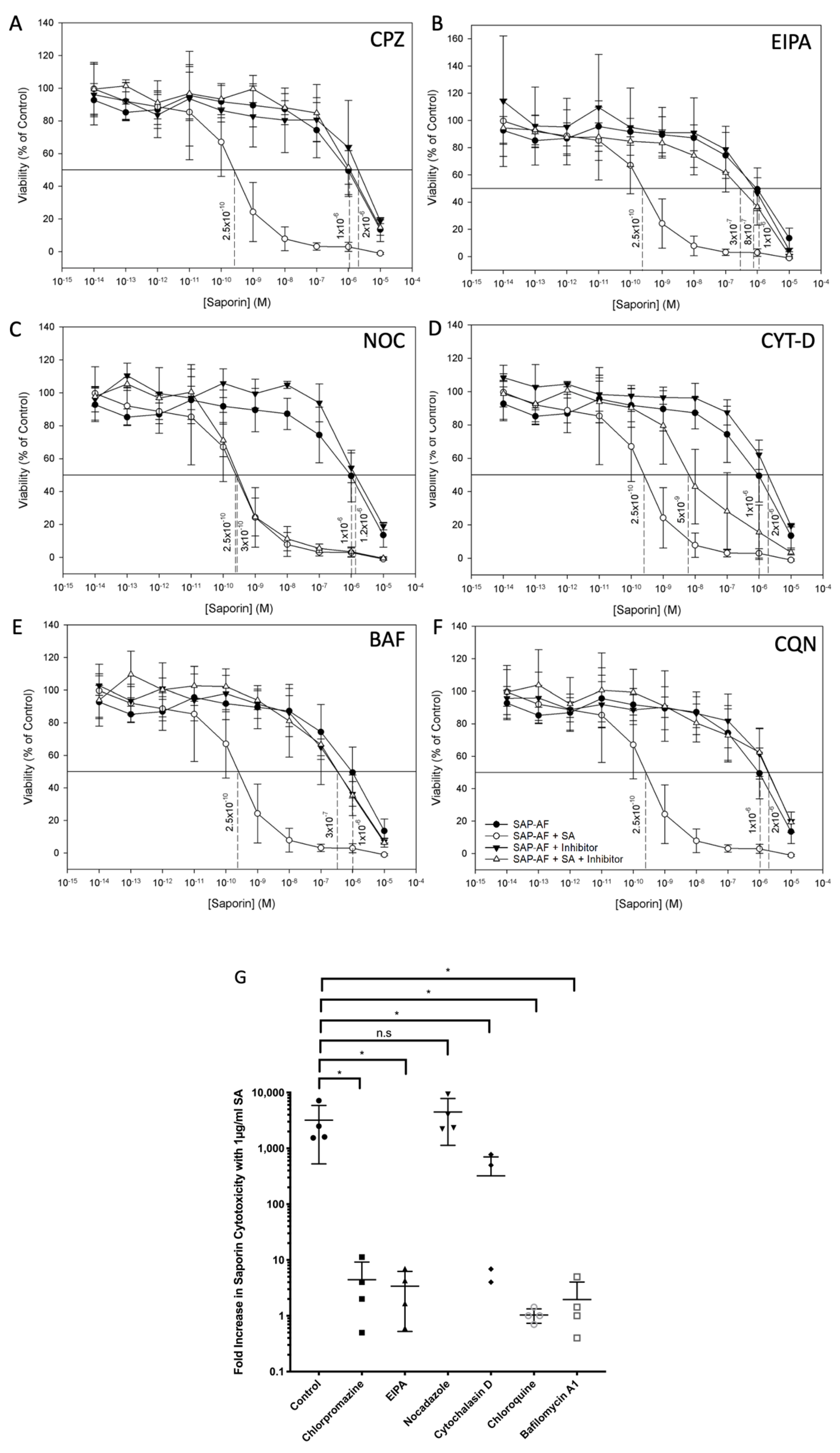 Biomedicines 09 00300 g004