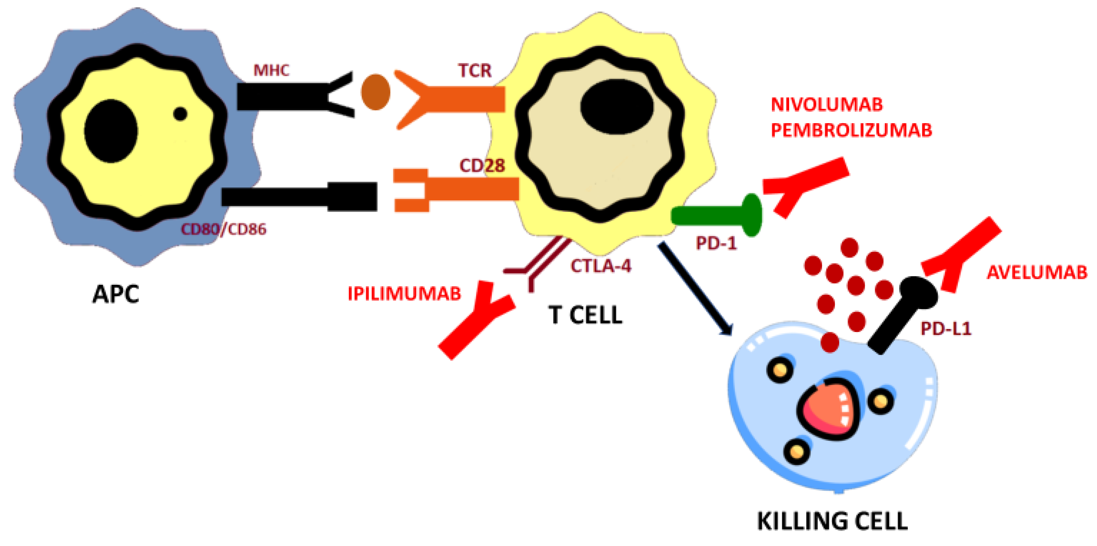 Biomedicines 09 00304 g002 Biomedicines 09 00304 g002